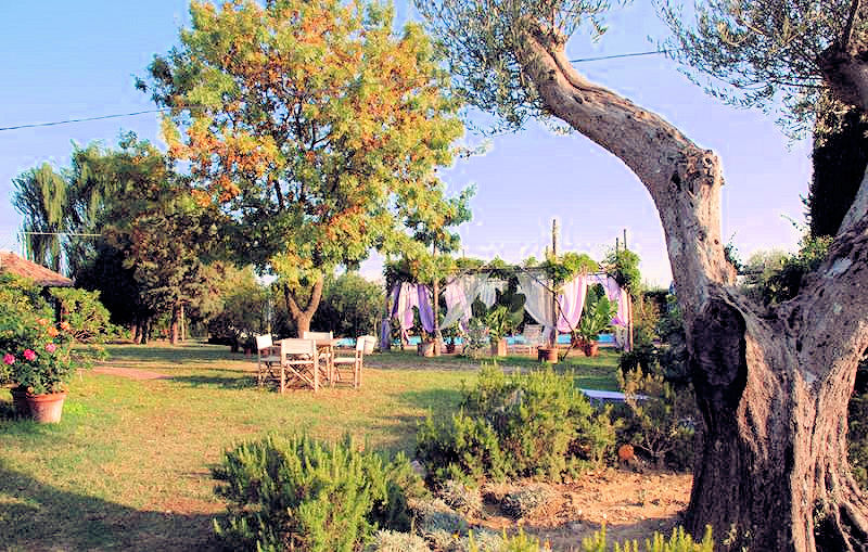 Rustico con parco e piscina in vendita a Manciano