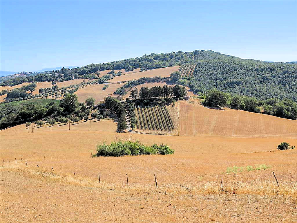 Azienda agricola in posizione collinare e panoramica in vendita a Magliano in Toscana, Pereta