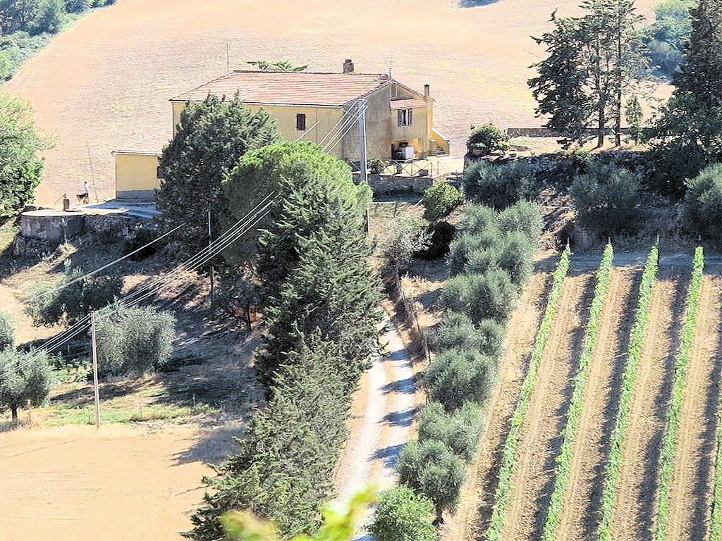 Azienda agricola in posizione collinare e panoramica in vendita a Magliano in Toscana, Pereta