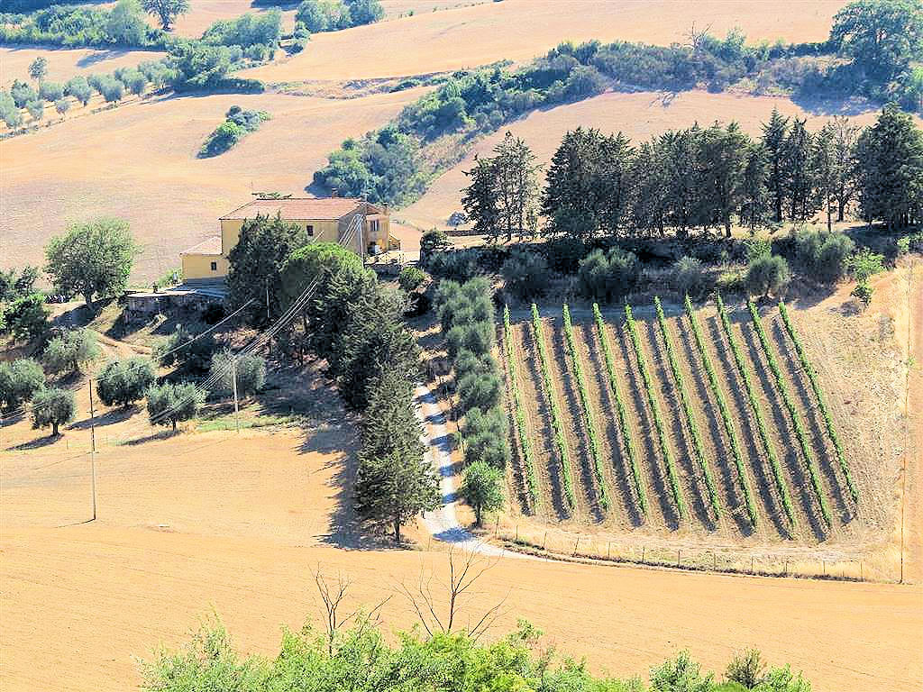 Azienda agricola in posizione collinare e panoramica in vendita a Magliano in Toscana, Pereta