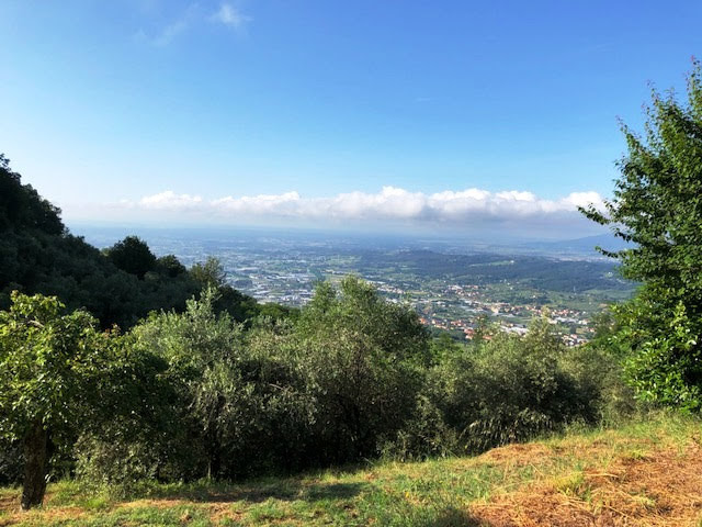 Podere con vista panoramica in vendita a Pescia