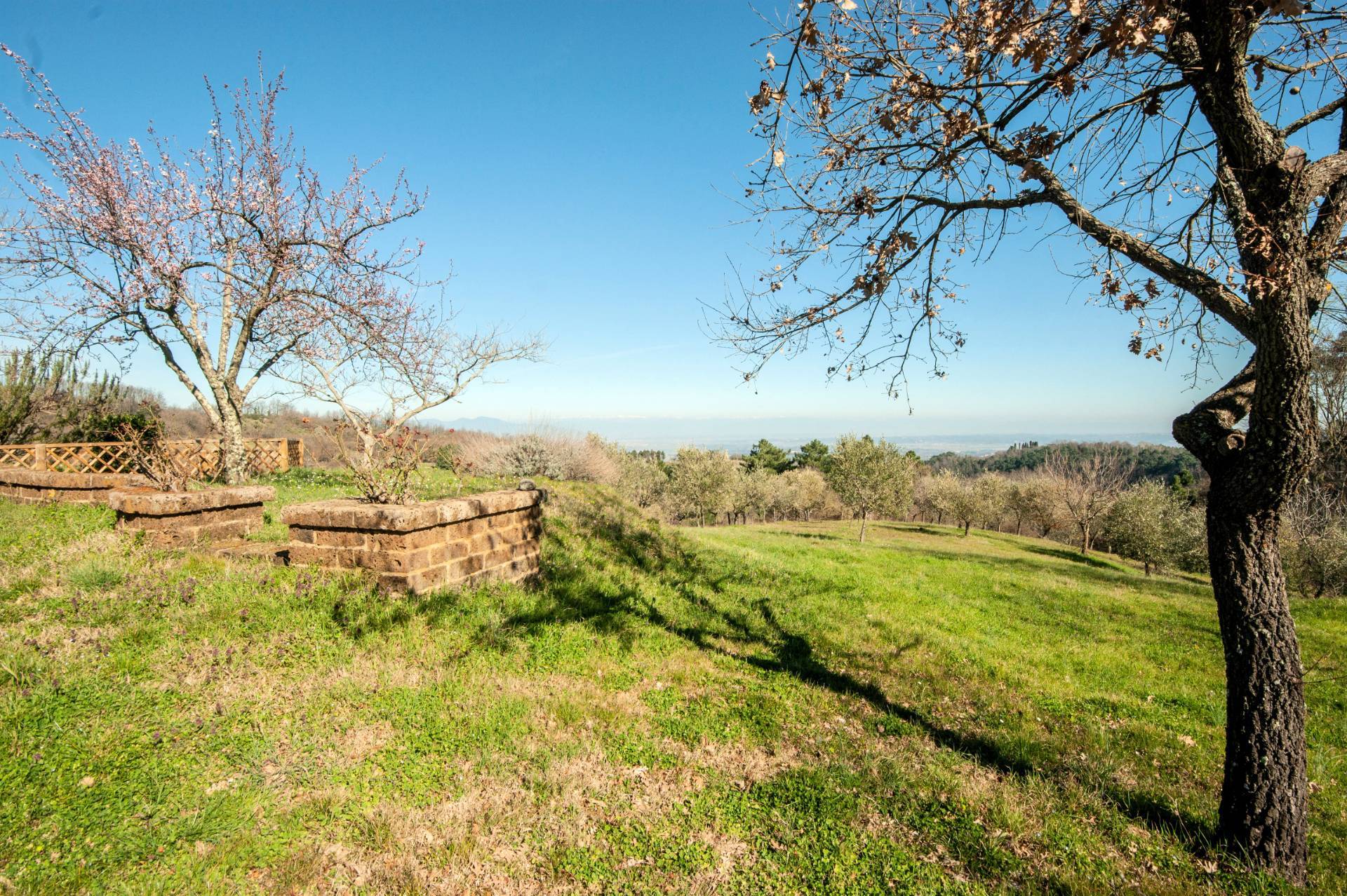 Bel casale ristrutturato in posizione panoramica con ampio terreno in vendita a Chianni, Rivalto