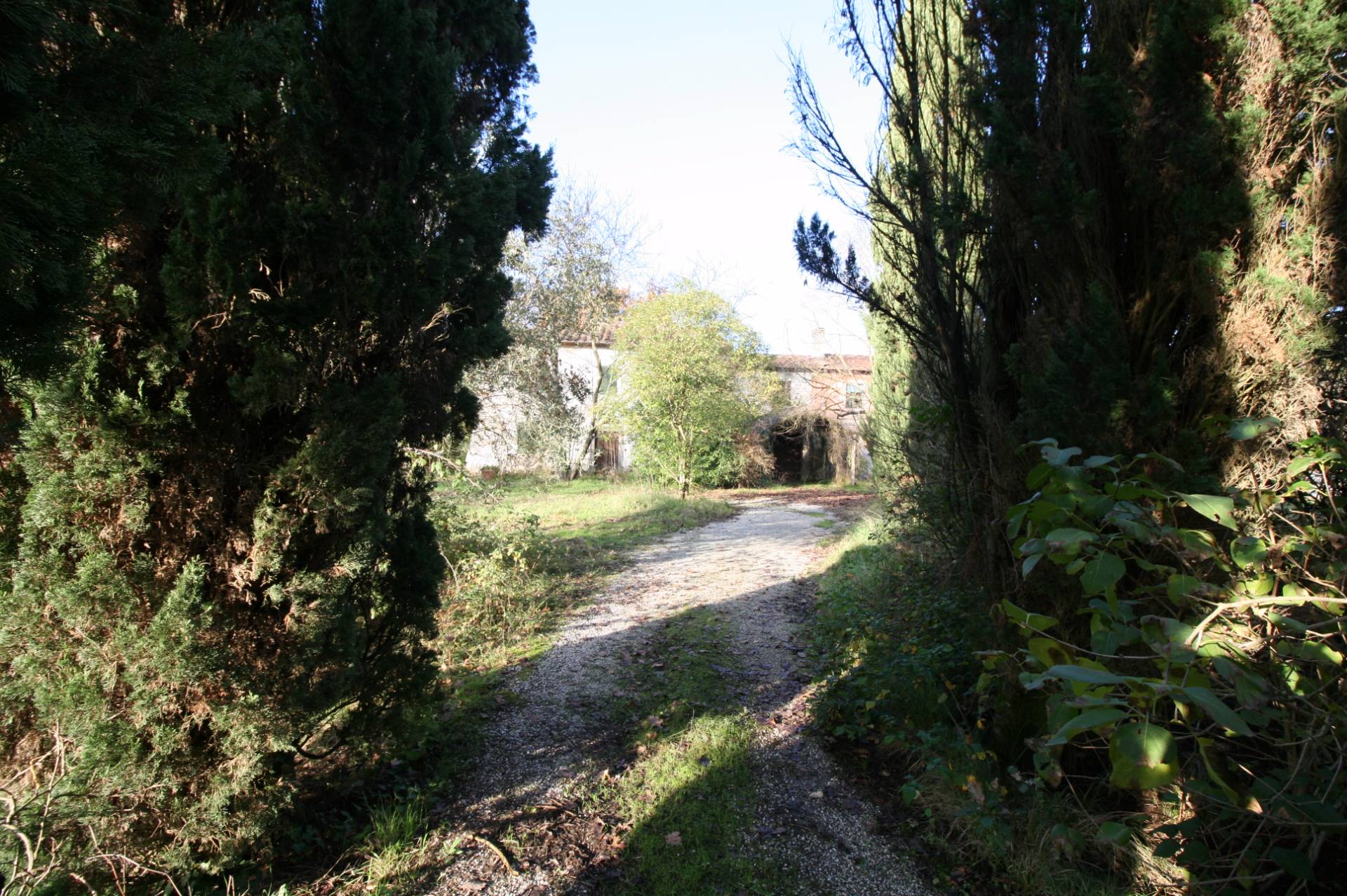 Complesso immobiliare di ampia metratura da ristrutturare in vendita a Altopascio, Spianate