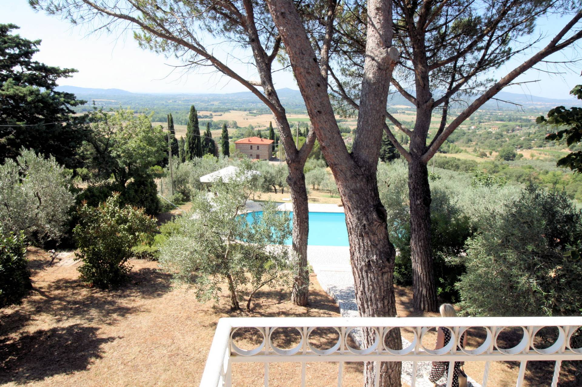 Villa panoramica in collina con parco e piscina in vendita a Capolona