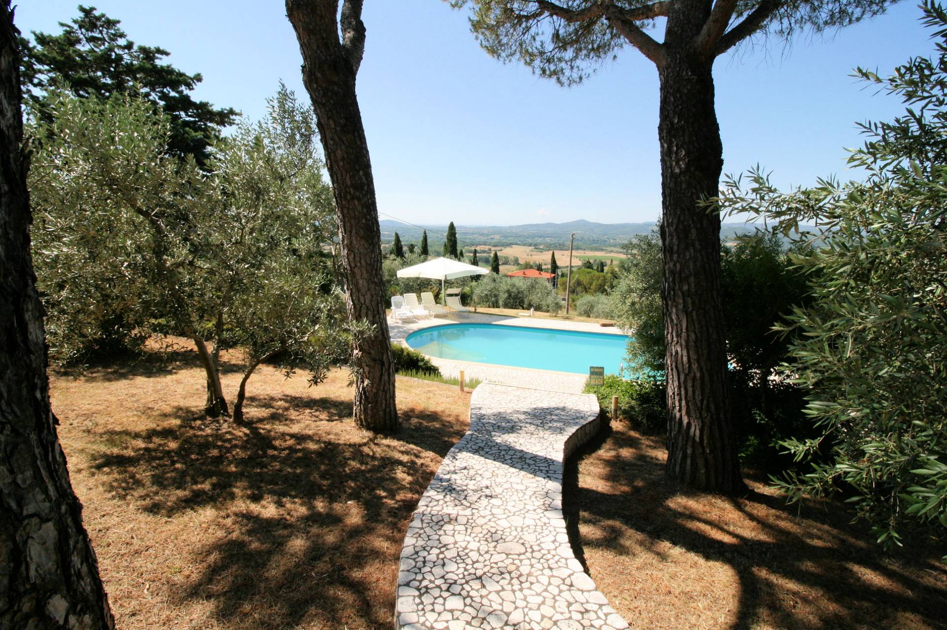Villa panoramica in collina con parco e piscina in vendita a Capolona