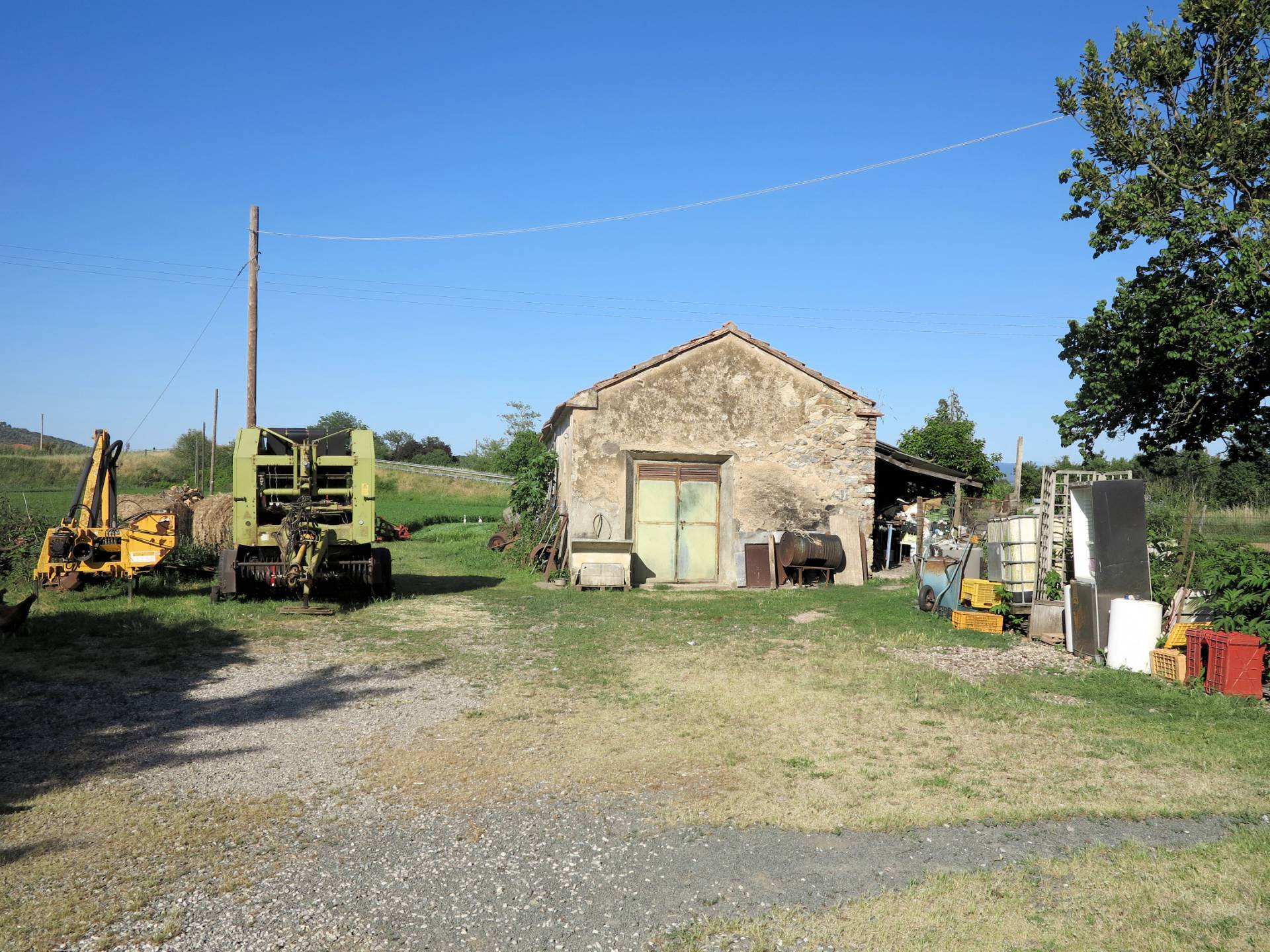 Piccola azienda agricola in vendita a Gavorrano