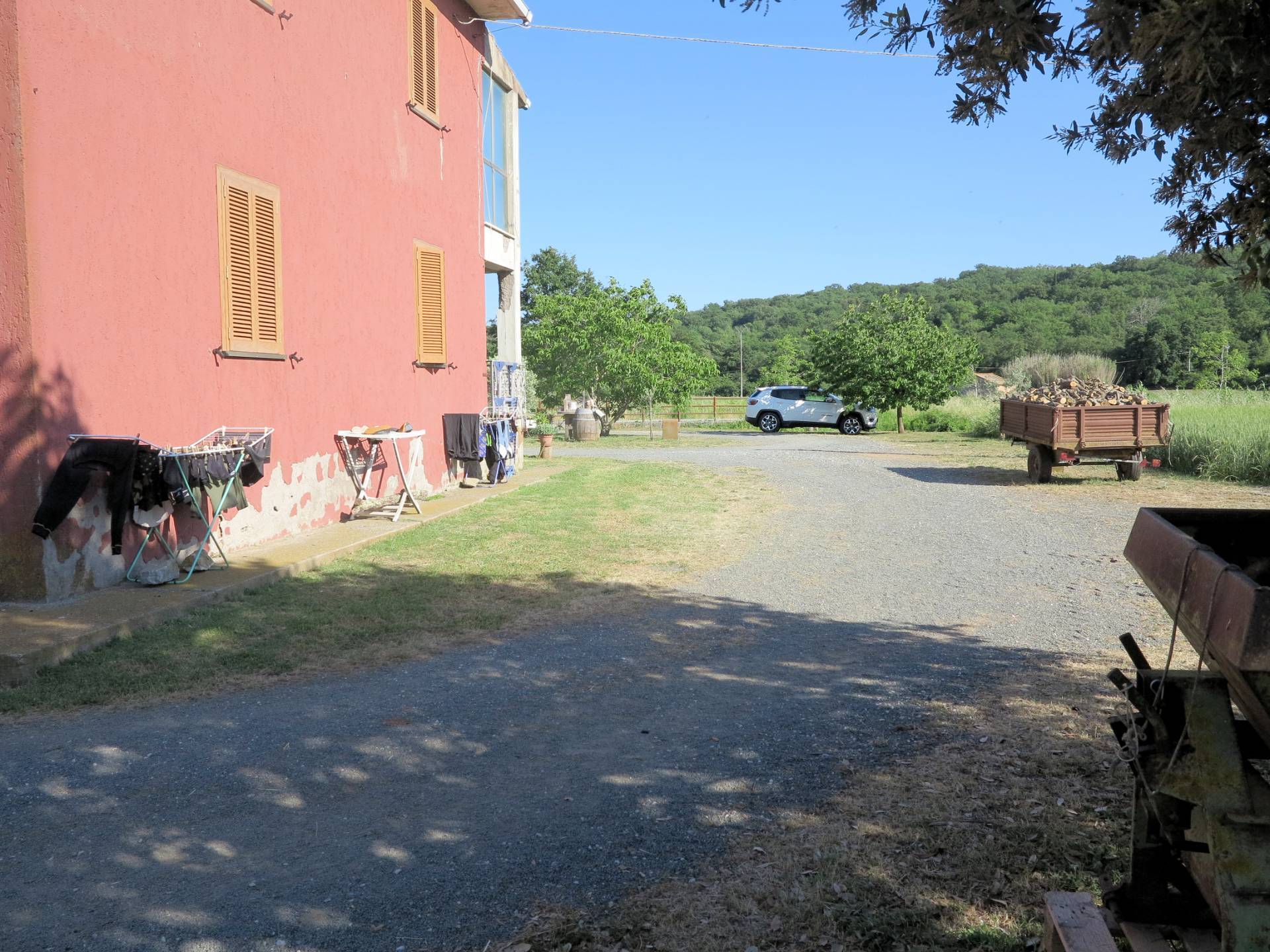 Piccola azienda agricola in vendita a Gavorrano