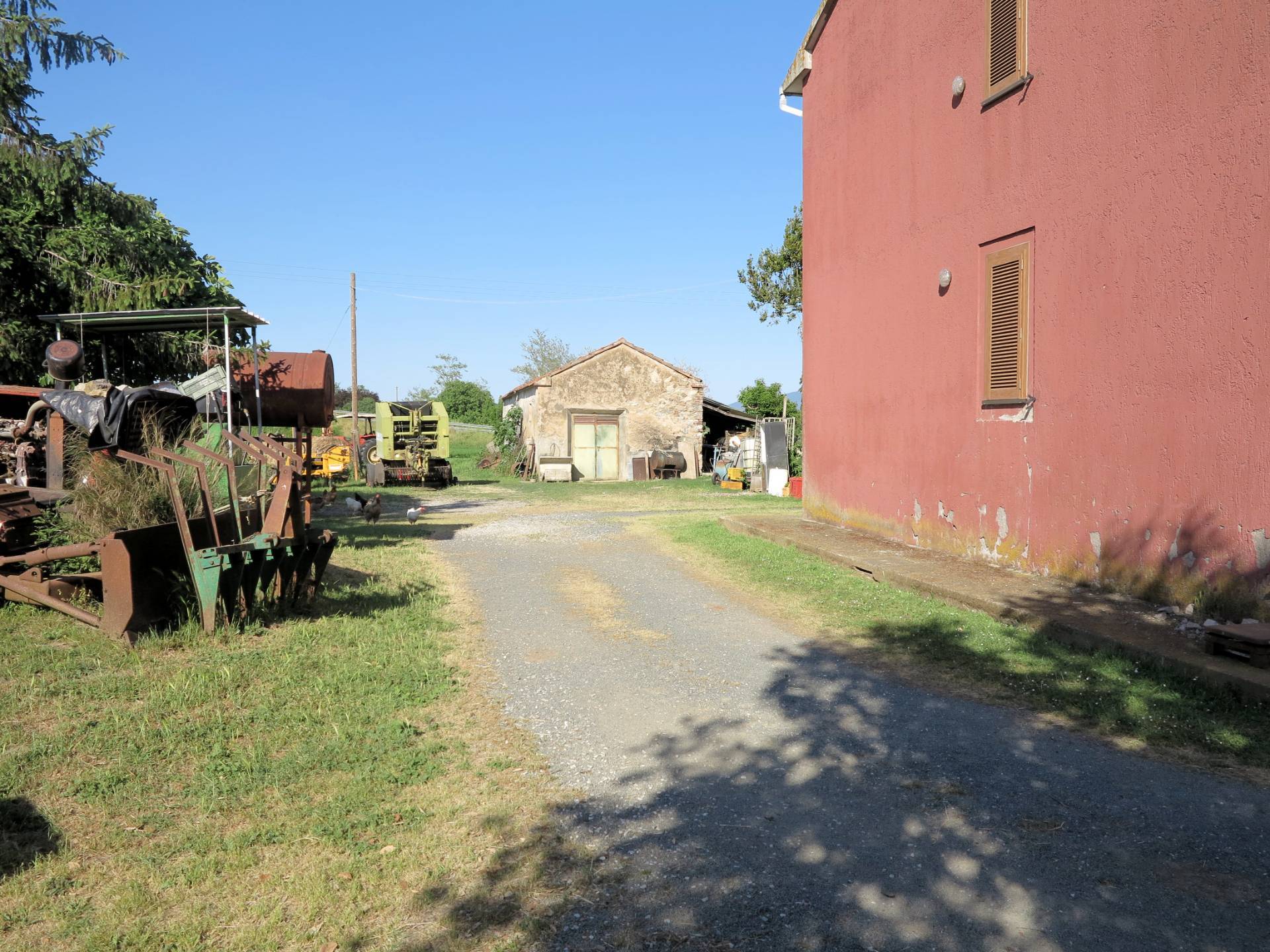 Piccola azienda agricola in vendita a Gavorrano