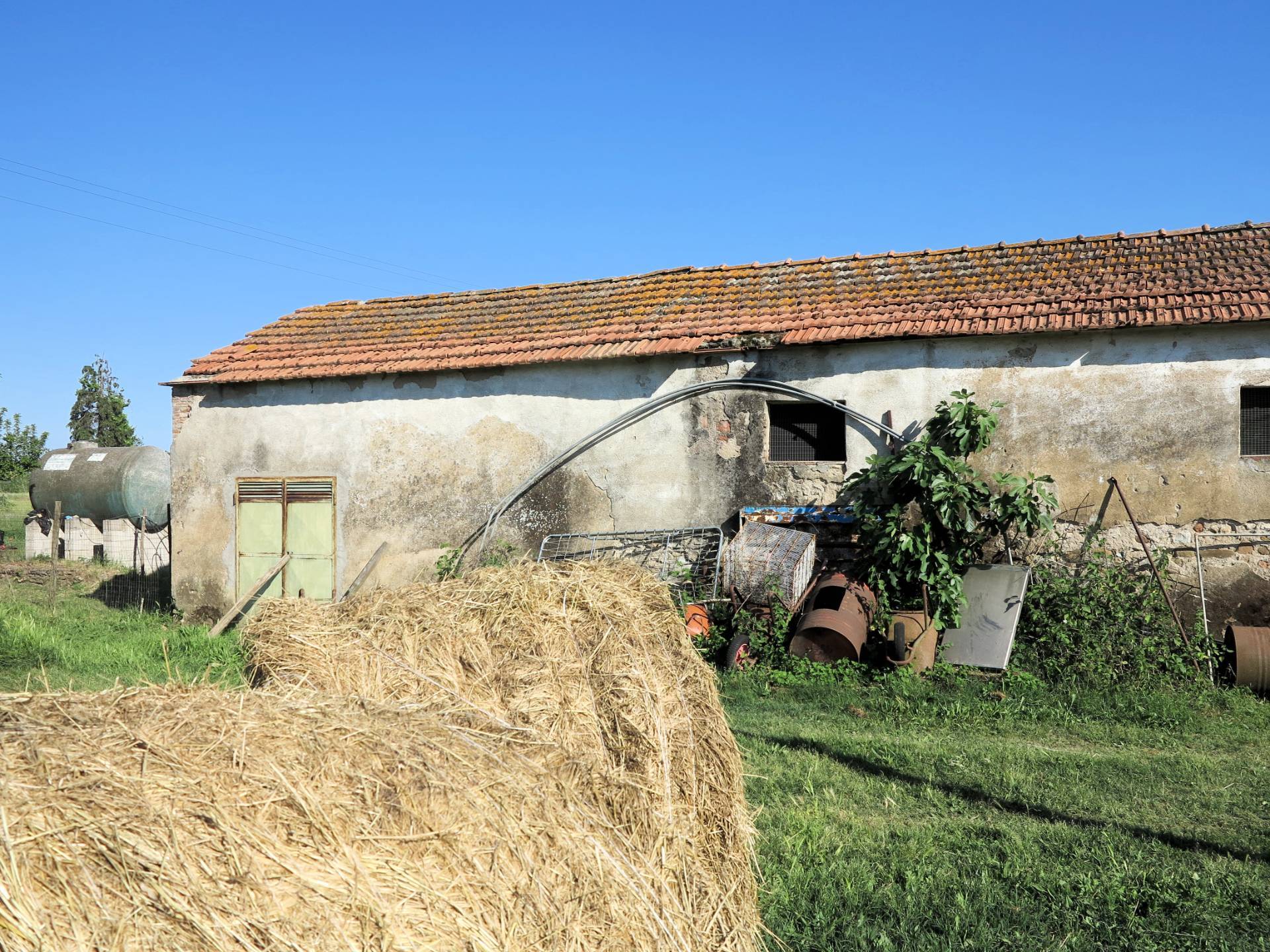 Piccola azienda agricola in vendita a Gavorrano