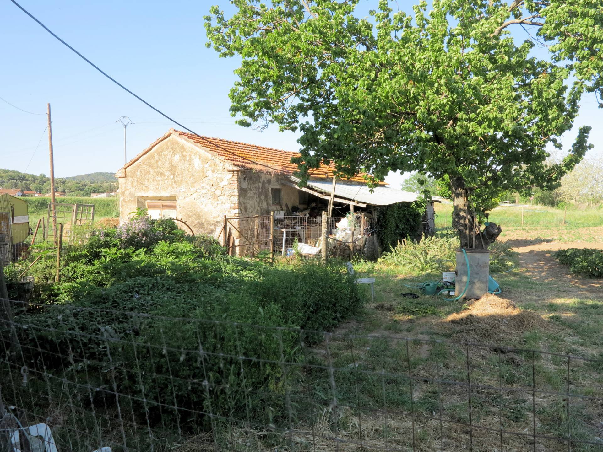 Piccola azienda agricola in vendita a Gavorrano
