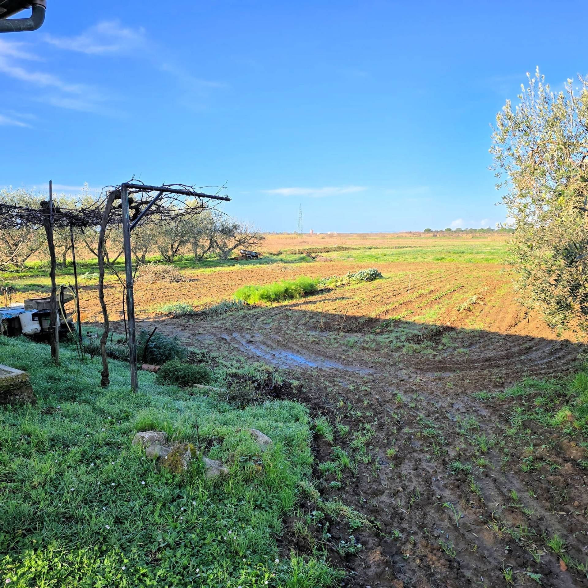 Annesso agricolo con ampio terreno vicino al mare in vendita a Scarlino, Puntone