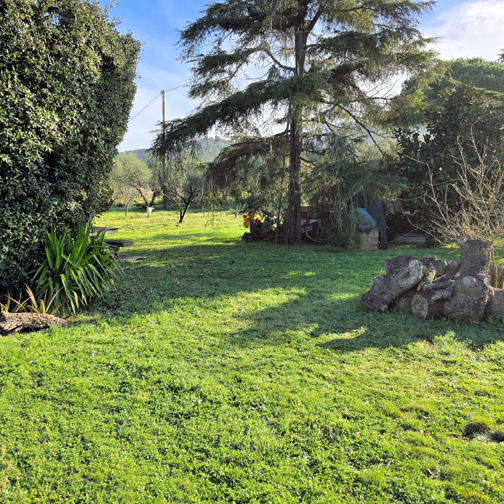 Annesso agricolo con ampio terreno vicino al mare in vendita a Scarlino, Puntone