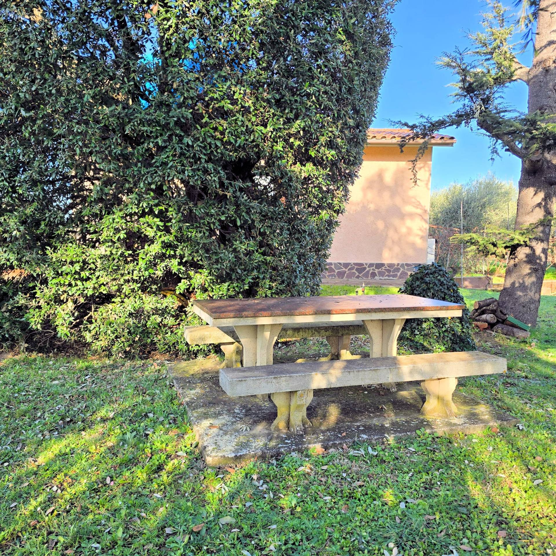 Annesso agricolo con ampio terreno vicino al mare in vendita a Scarlino, Puntone