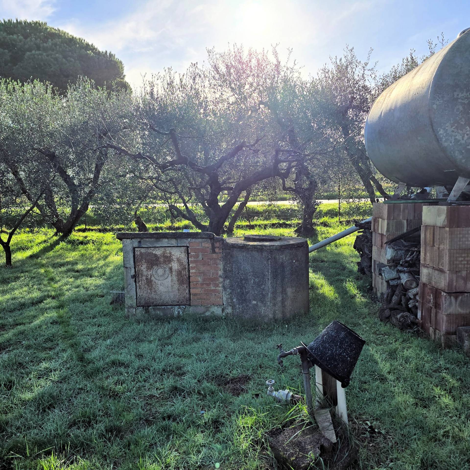 Annesso agricolo con ampio terreno vicino al mare in vendita a Scarlino, Puntone