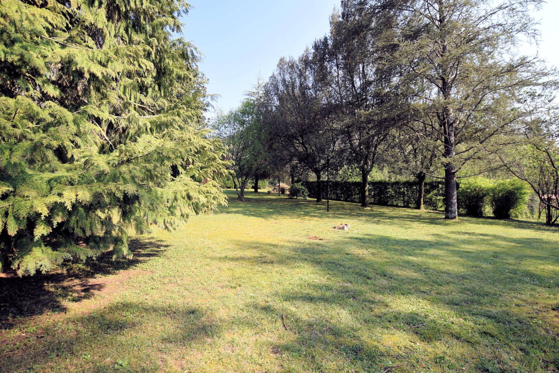 Villa in collina con parco in vendita a Camaiore