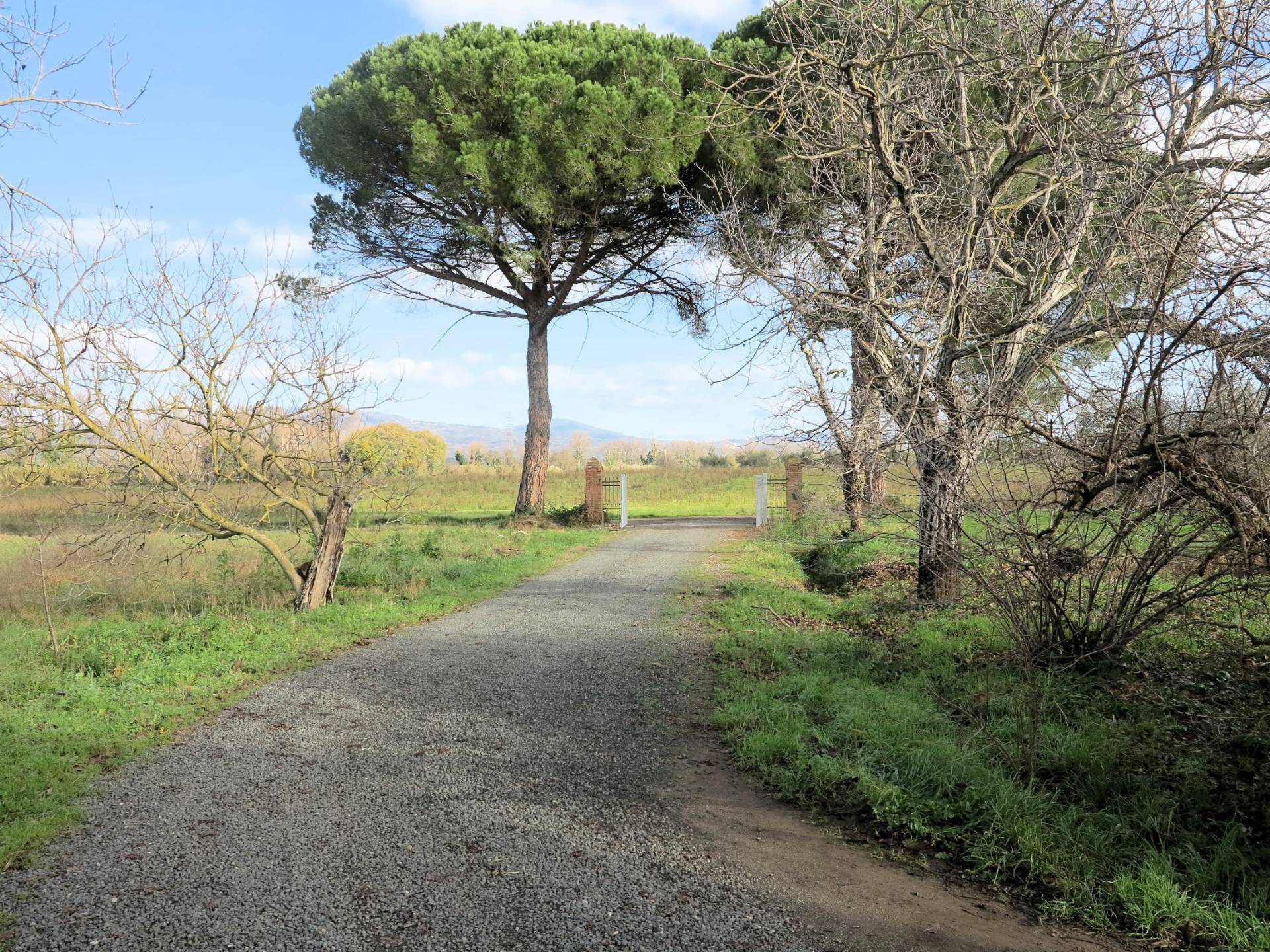 Podere ex Ente Maremma di ampia superficie in vendita a Roccastrada, Montemassi
