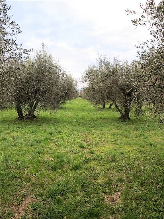 Annesso agricolo da ristrutturare in splendida posizione in vendita a Gavorrano, Bagno di Gavorrano