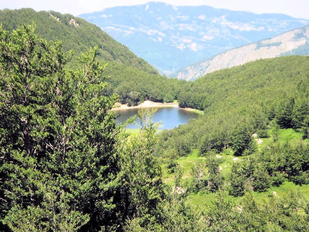 Proponiamo la vendita dell'attivita' di bar/ristorante/pizzeria in vendita a Abetone Cutigliano