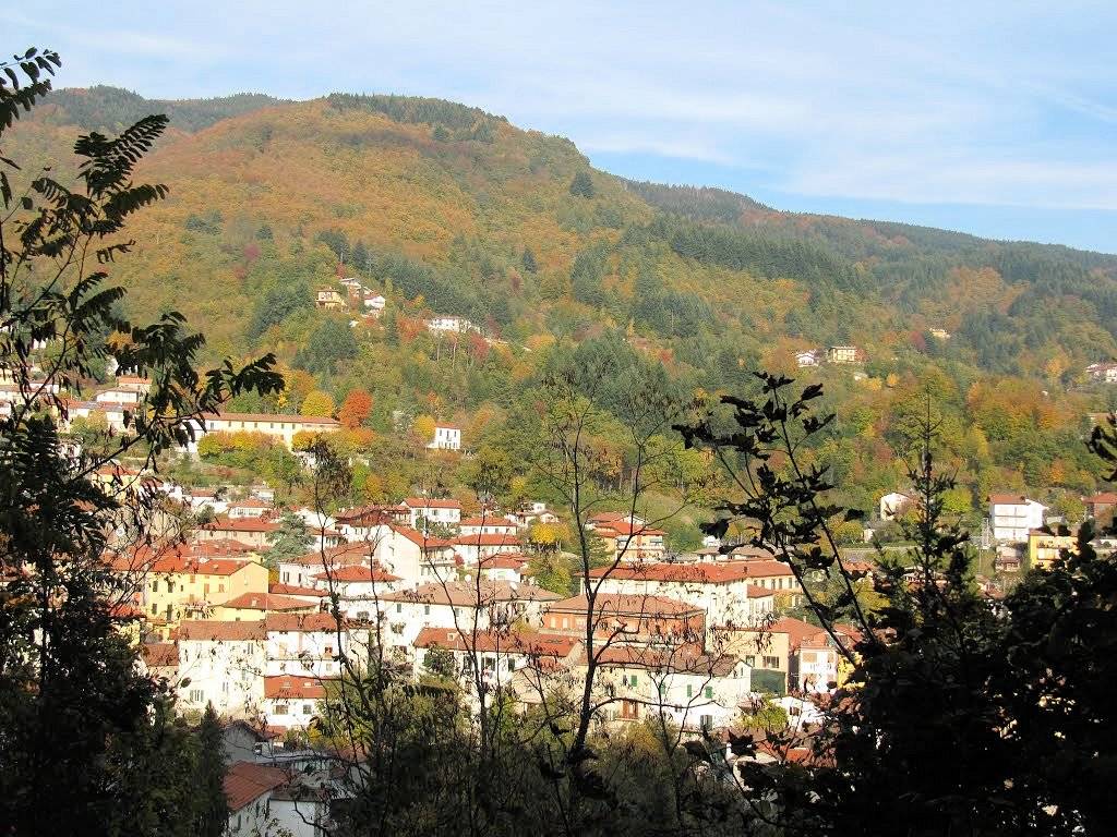 Proponiamo la vendita dell'attivita' di bar/ristorante/pizzeria in vendita a Abetone Cutigliano