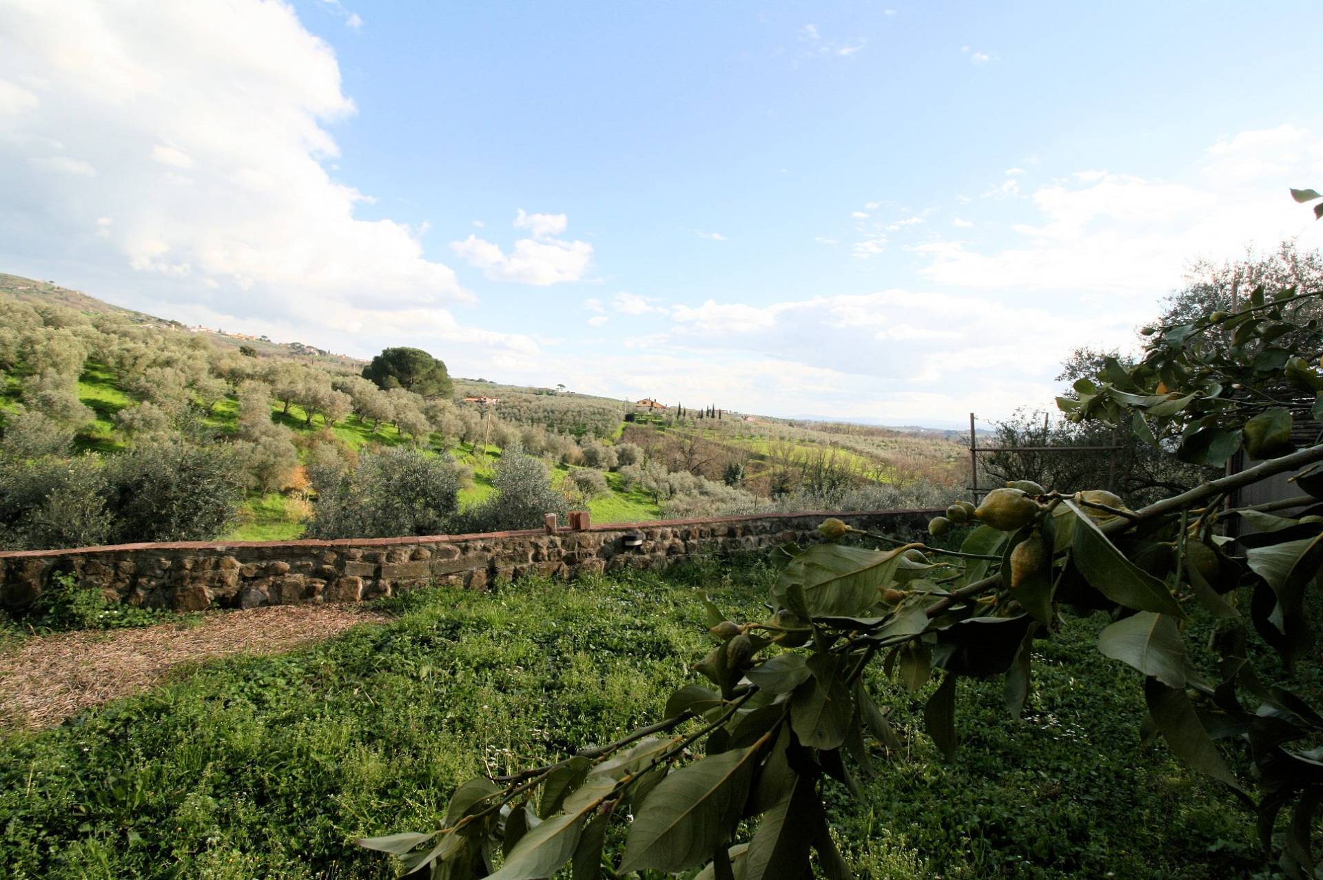 Terratetto ristrutturato libero su tre lati di ampia superficie con terreno e vista panoramica in ve