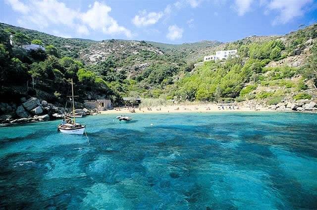 Azienda vitivinicola Morellino di Scansano con agriturismo in vendita a Grosseto
