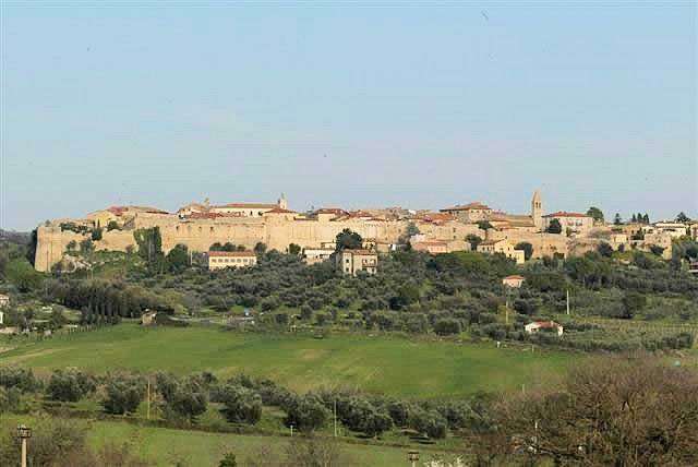 Azienda vitivinicola Morellino di Scansano con agriturismo in vendita a Grosseto