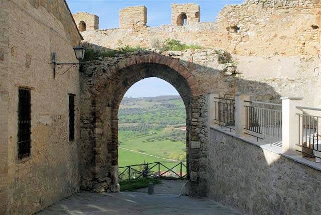 Azienda vitivinicola Morellino di Scansano con agriturismo in vendita a Grosseto