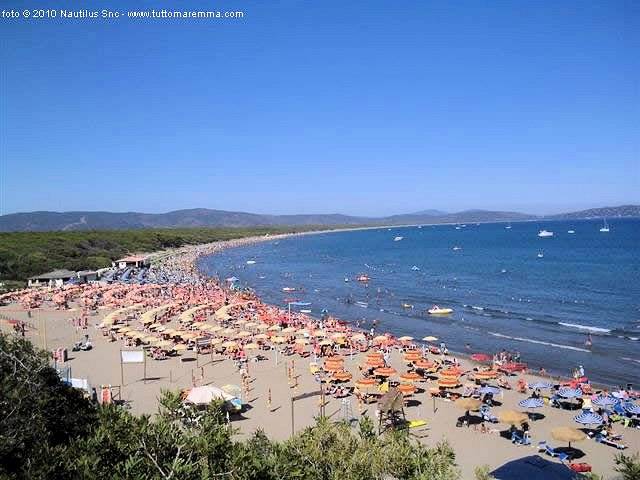 Azienda vitivinicola Morellino di Scansano con agriturismo in vendita a Grosseto
