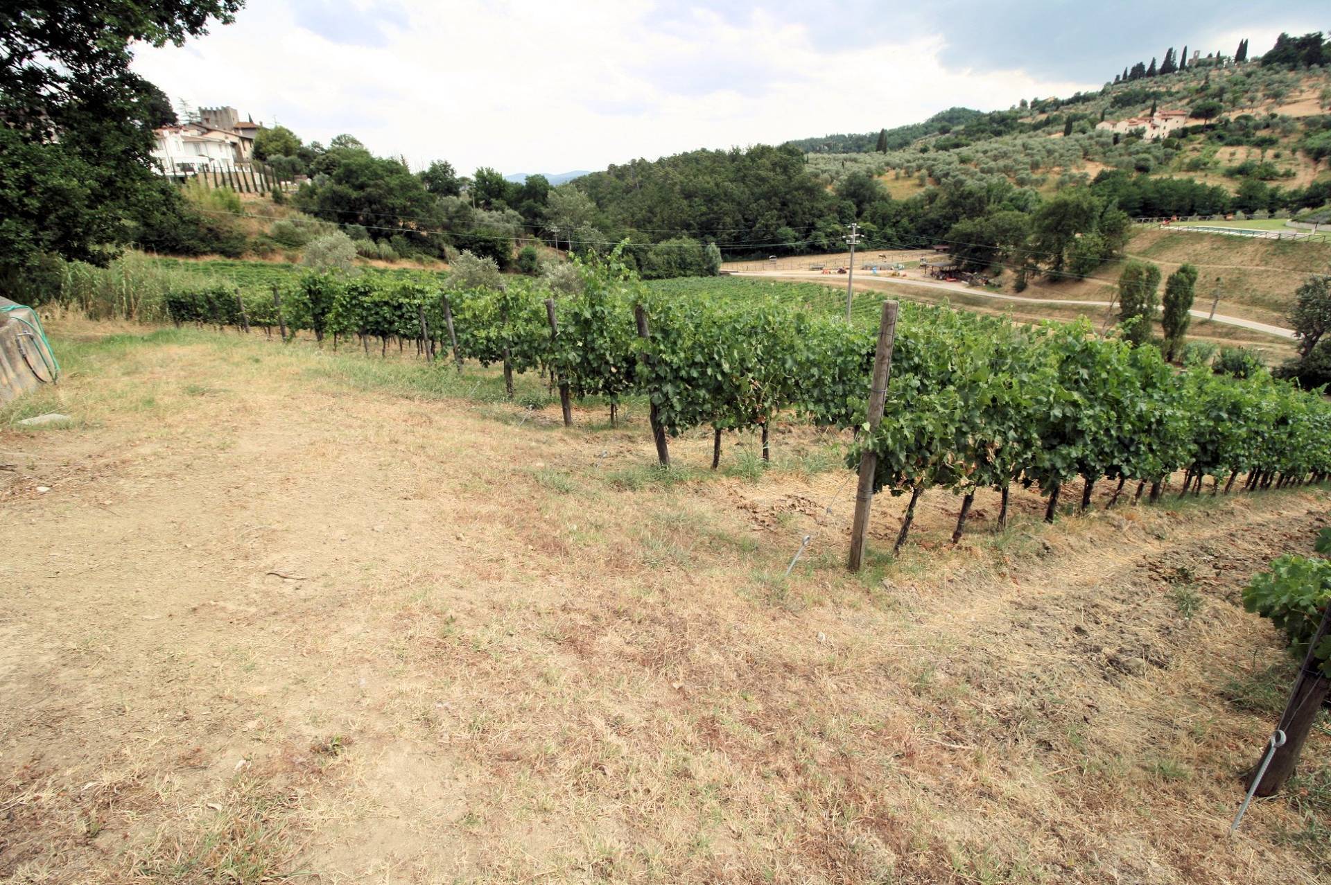 Prestigiosa tenuta con ampio parco piscina e vigneto in vendita a Poggio a Caiano