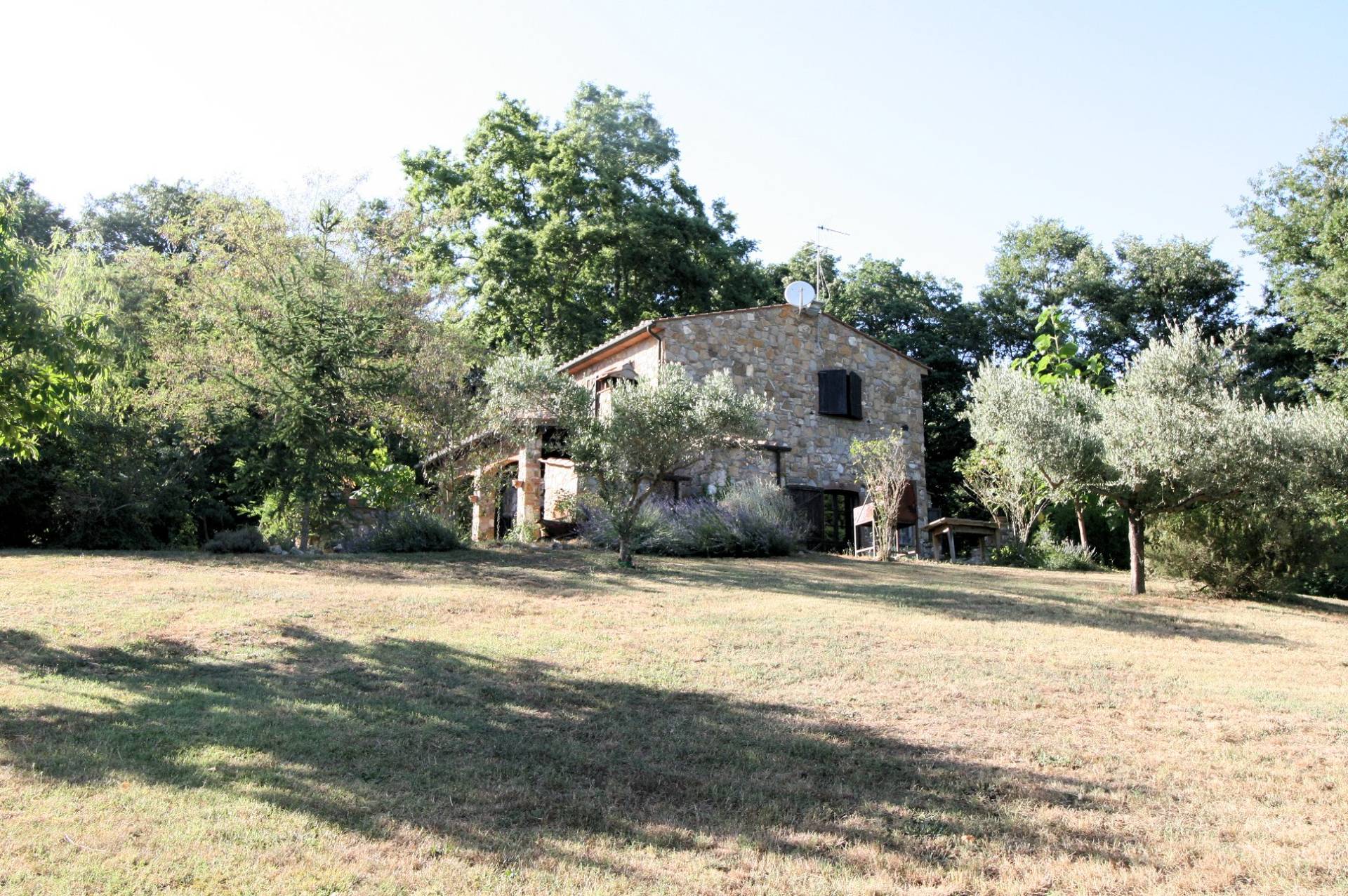 Rustico in stile Toscano con dependances immerso nel bosco in vendita a Montieri, Boccheggiano
