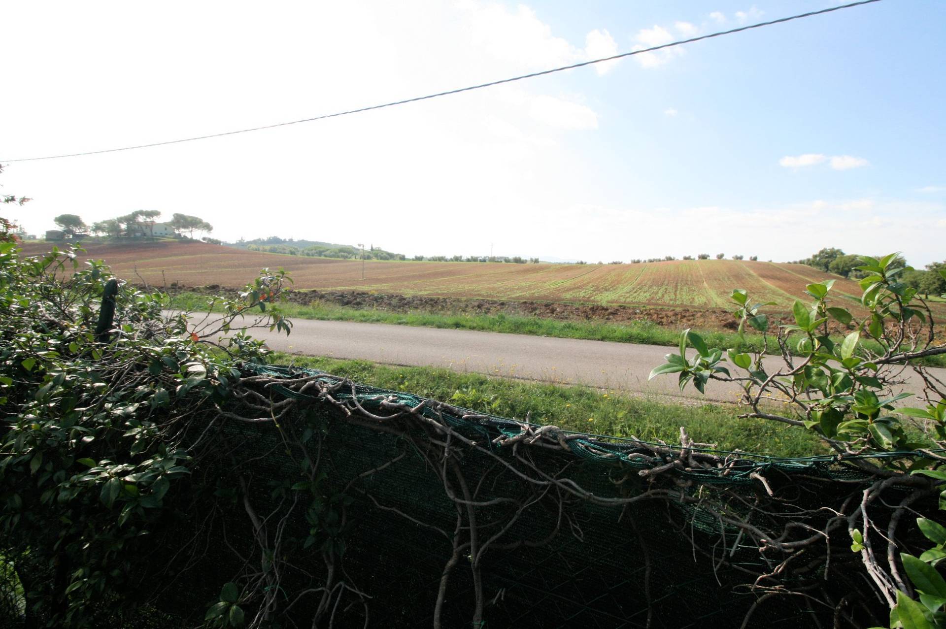 Podere ex Ente Maremma di ampia superficie in vendita a Roccastrada