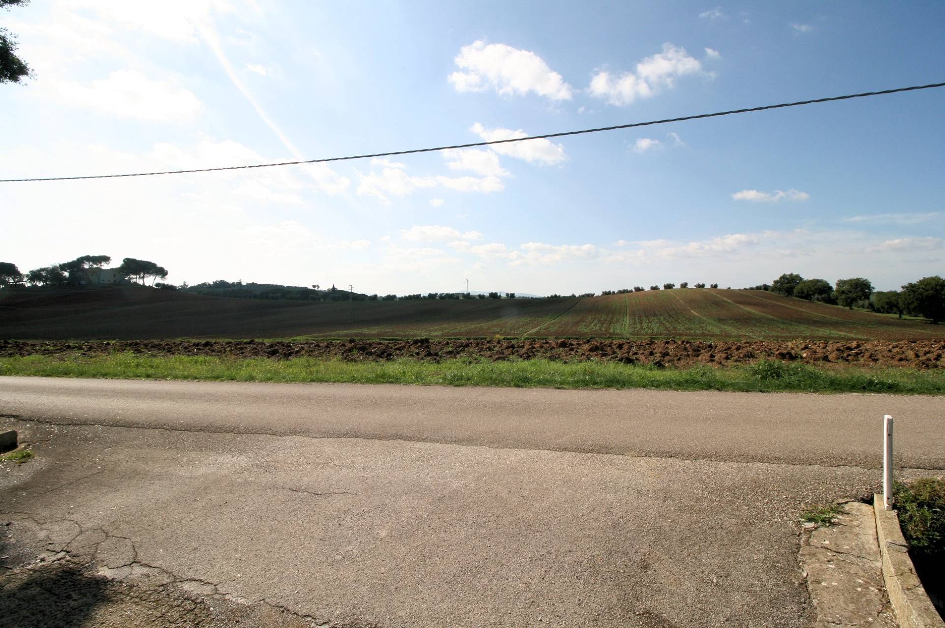 Podere ex Ente Maremma di ampia superficie in vendita a Roccastrada