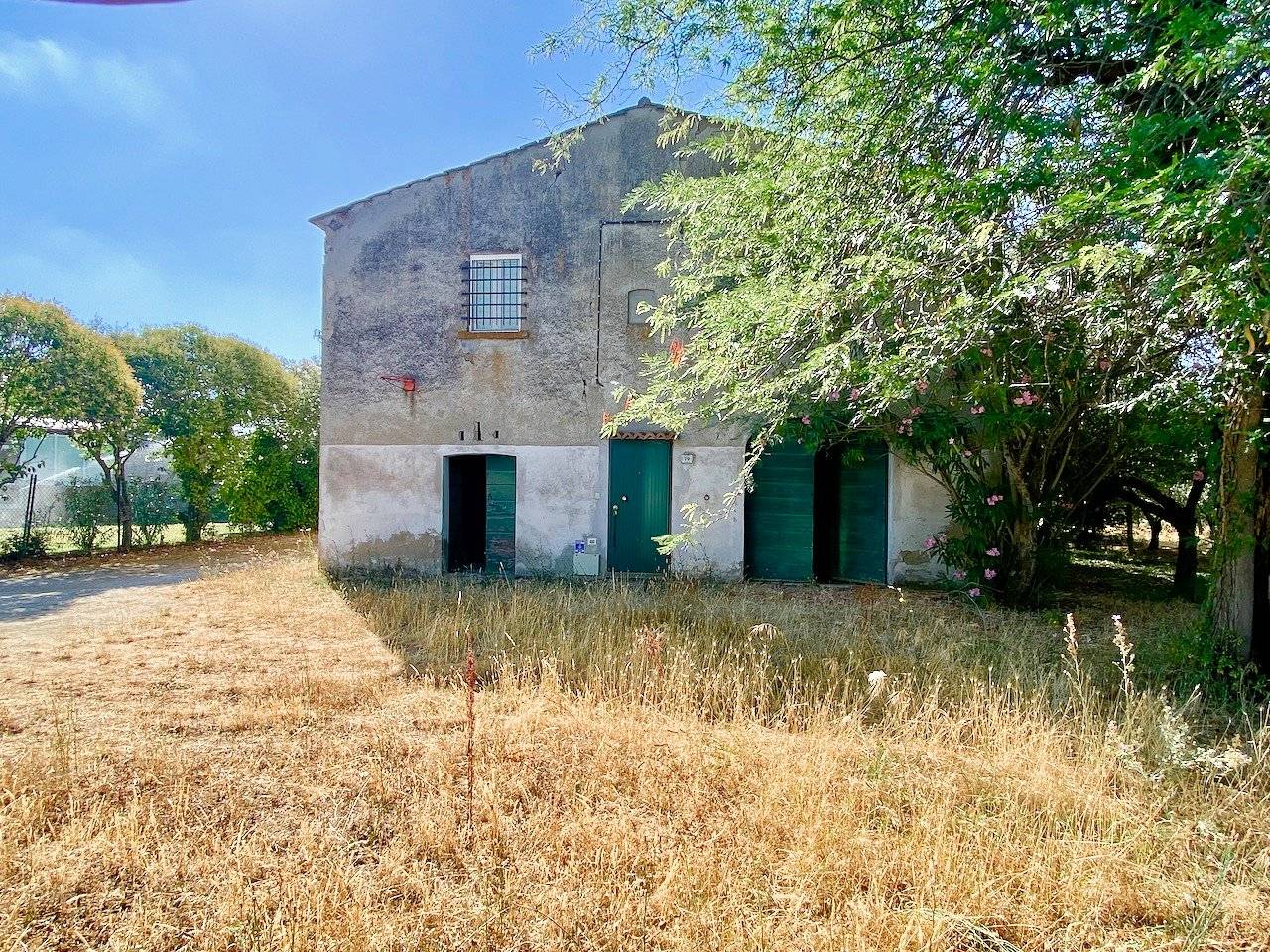 Rustico con annesso agricolo da ristrutturare in vendita a Castagneto Carducci