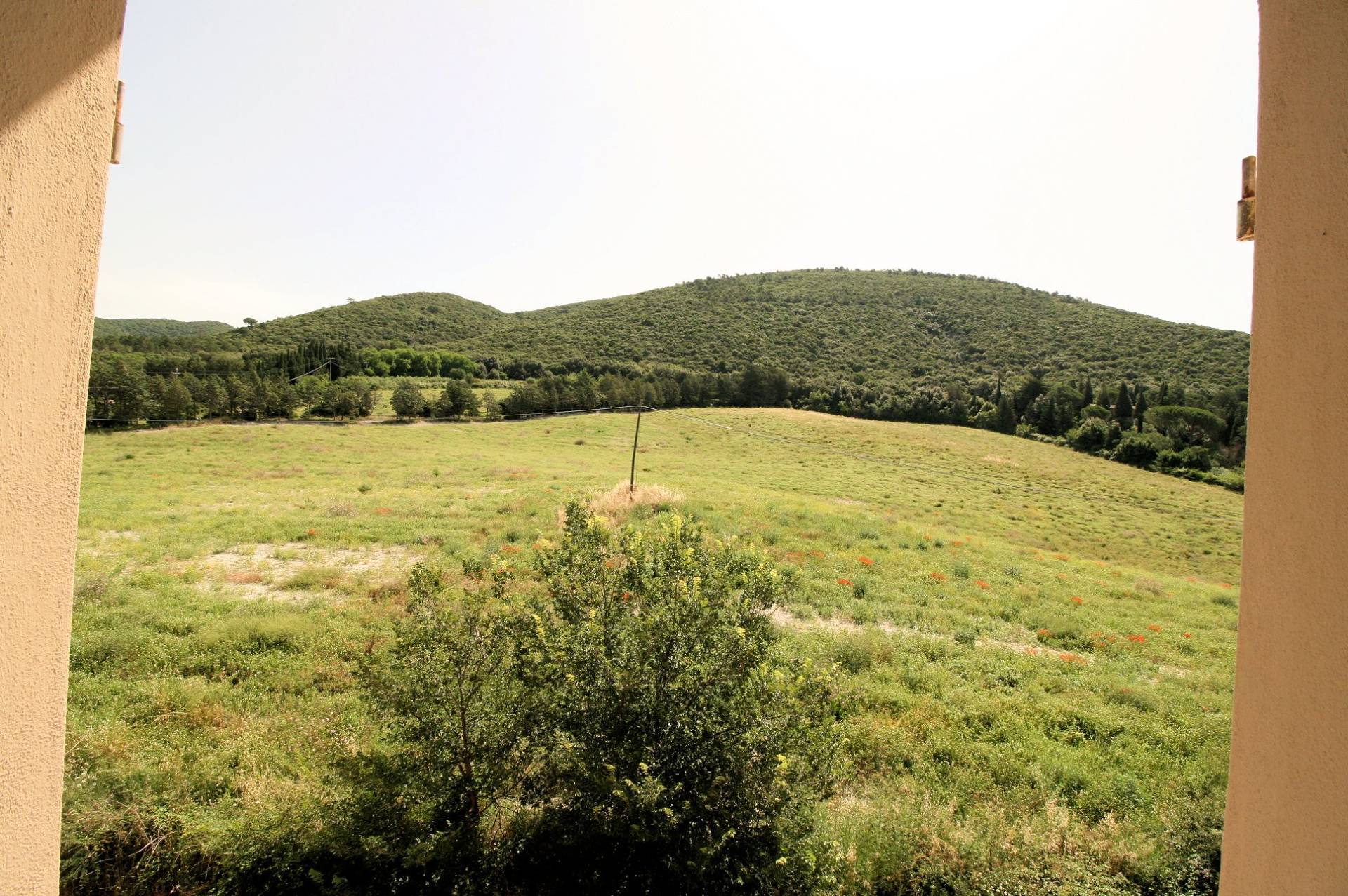 Complesso immobiliare di ampia superficie da ristrutturare in vendita a Santa Luce