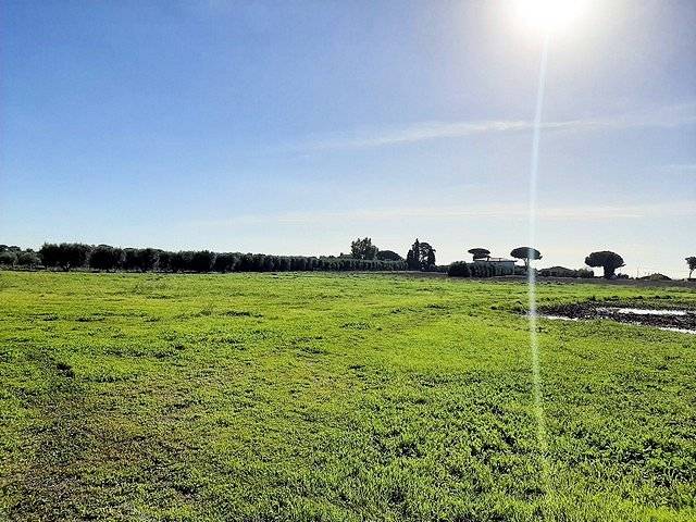 Complesso immobiliare di ampia superficie con terreni in vendita a Capalbio, Capalbio Scalo