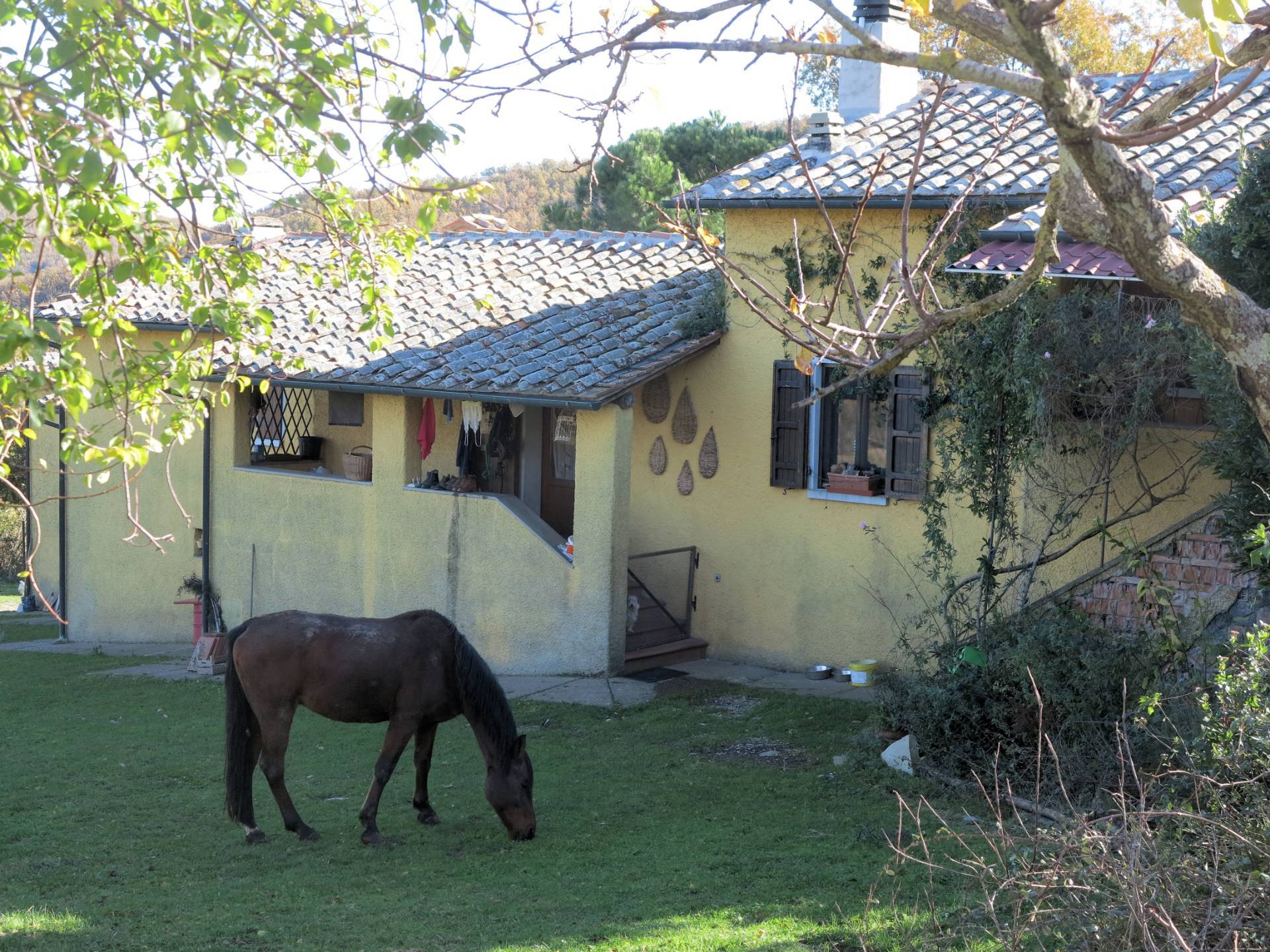 Azienda agricola in posizione panoramica in vendita a Montieri