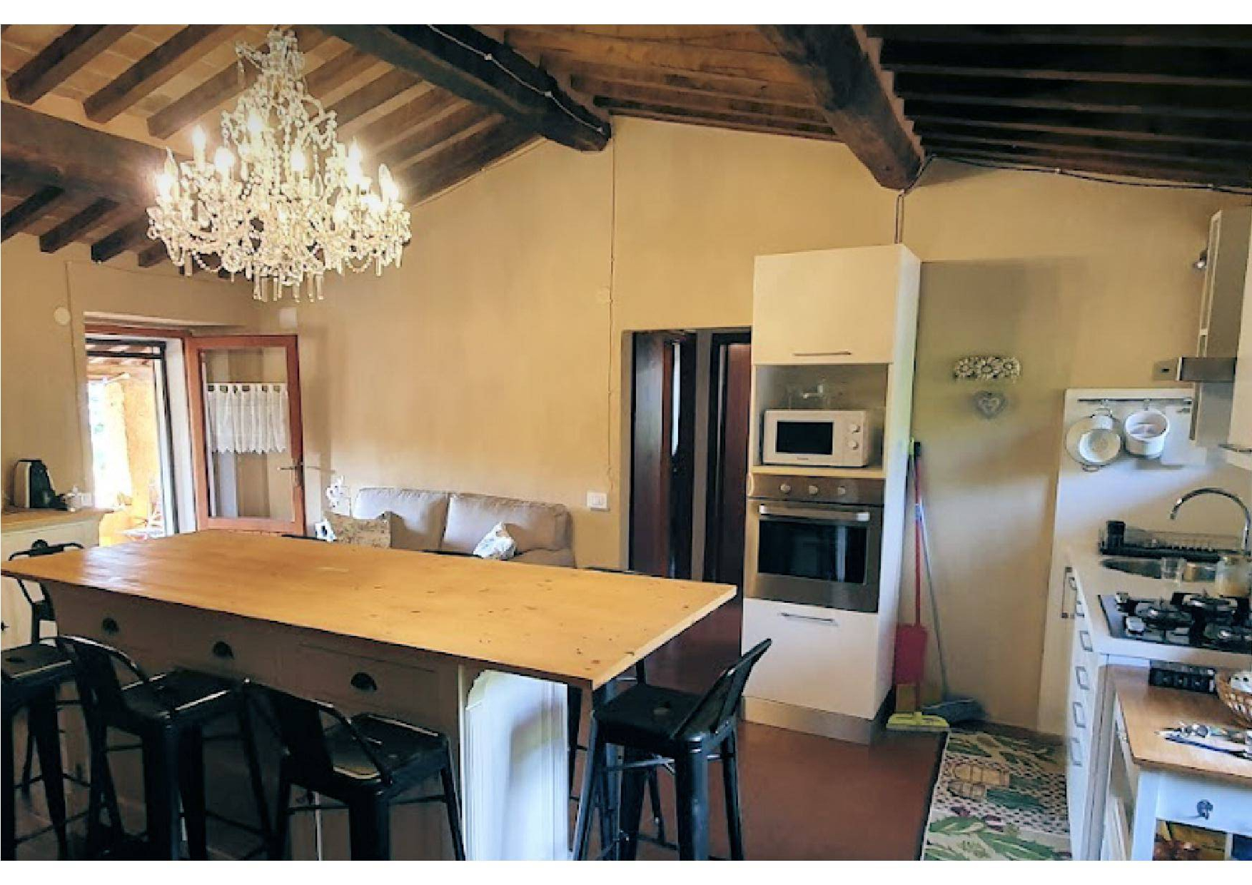 Azienda agricola in posizione panoramica in vendita a Montieri