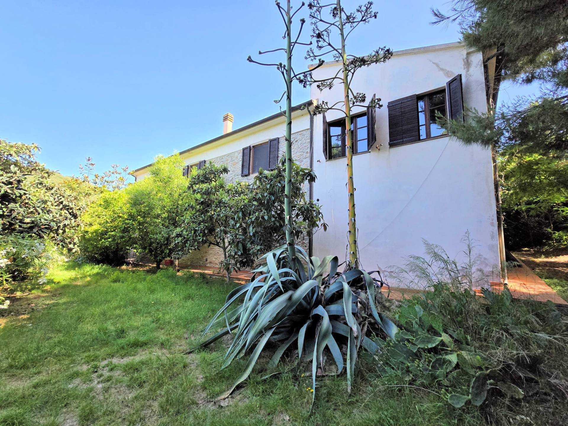 Casa indipendente in stile rustico Toscano con terreno in vendita a Campiglia Marittima, Venturina
