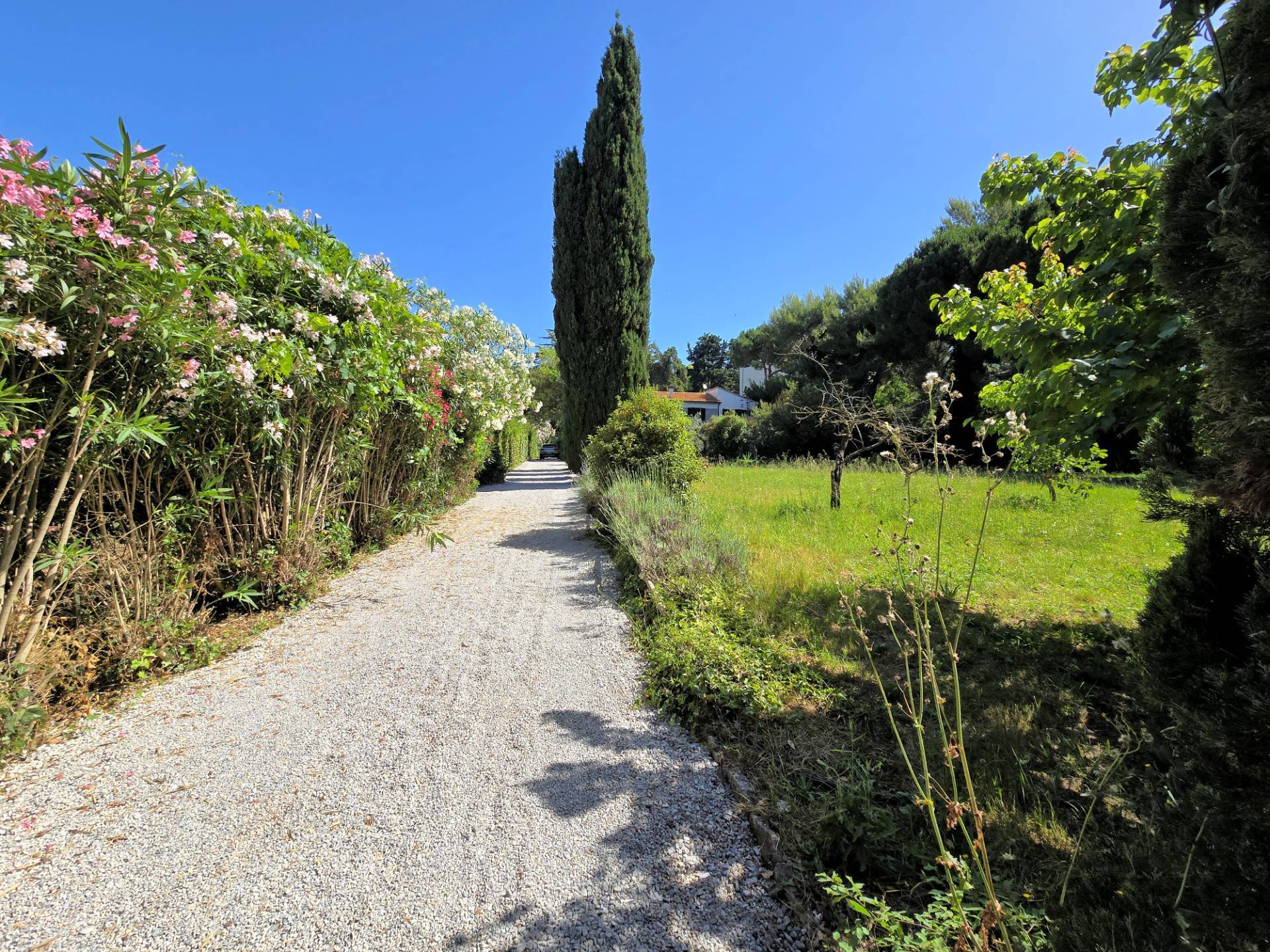 Casa indipendente in stile rustico Toscano con terreno in vendita a Campiglia Marittima, Venturina