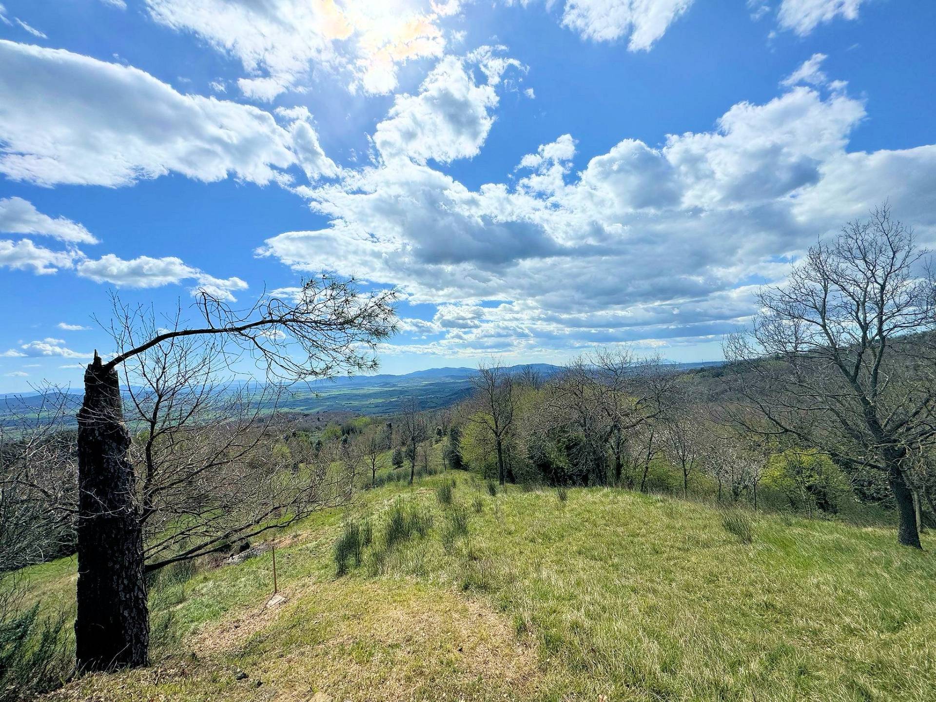 Rustico da ristrutturare con possibilit di ampliamento con vista panoramica fino al mare in vendita 