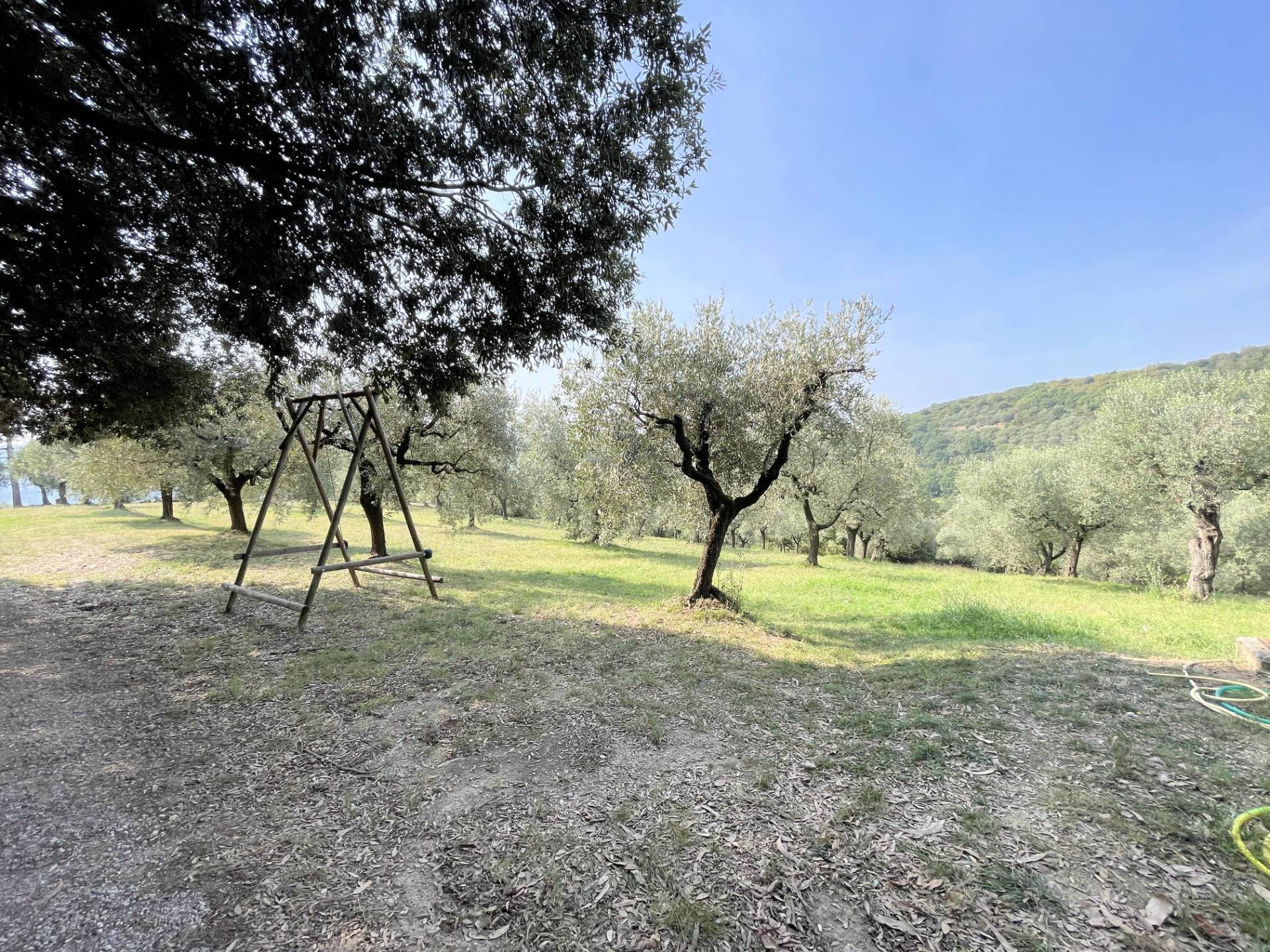 Agriturismo con ampio terreno con vista panoramica in vendita a Vecchiano