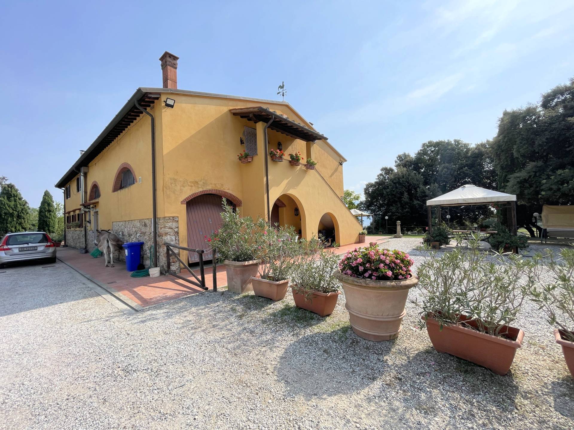 Agriturismo con ampio terreno con vista panoramica in vendita a Vecchiano