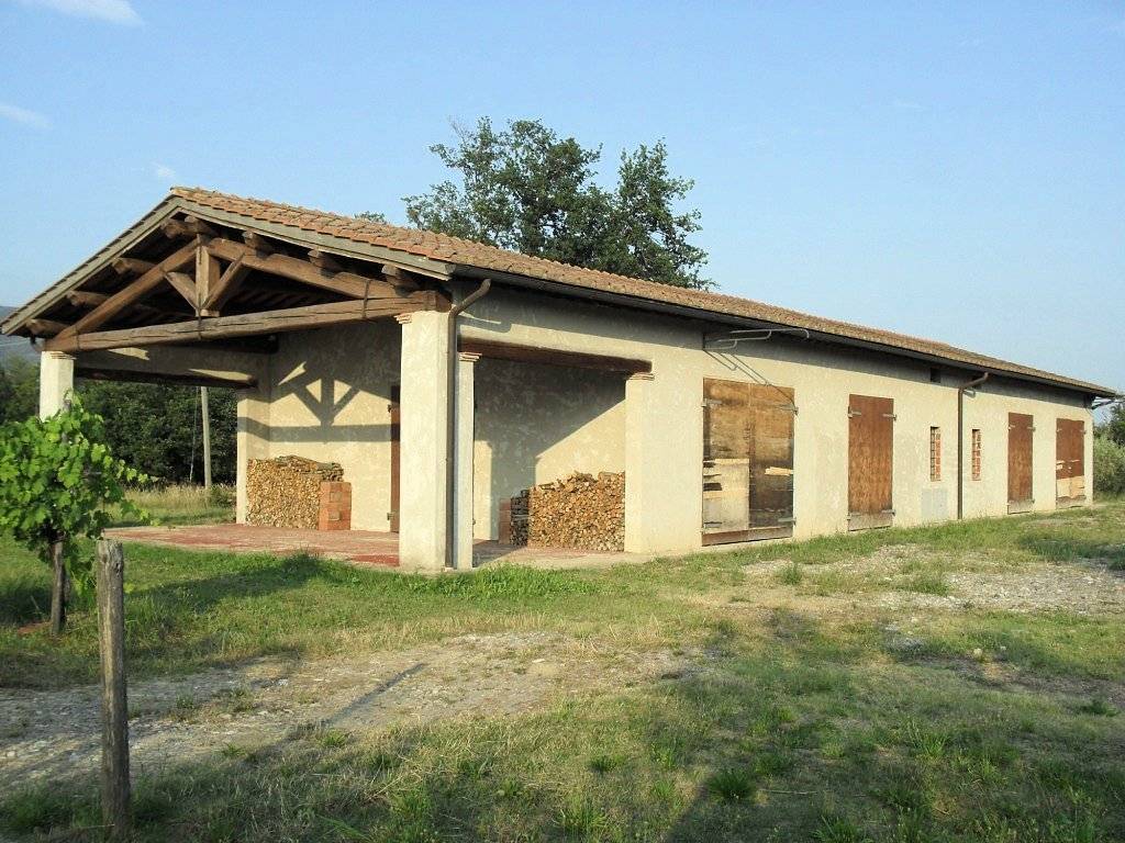 Complesso immobiliare di tipo rustico con vigneto uliveto piscina e annessi in vendita a Terranuova 