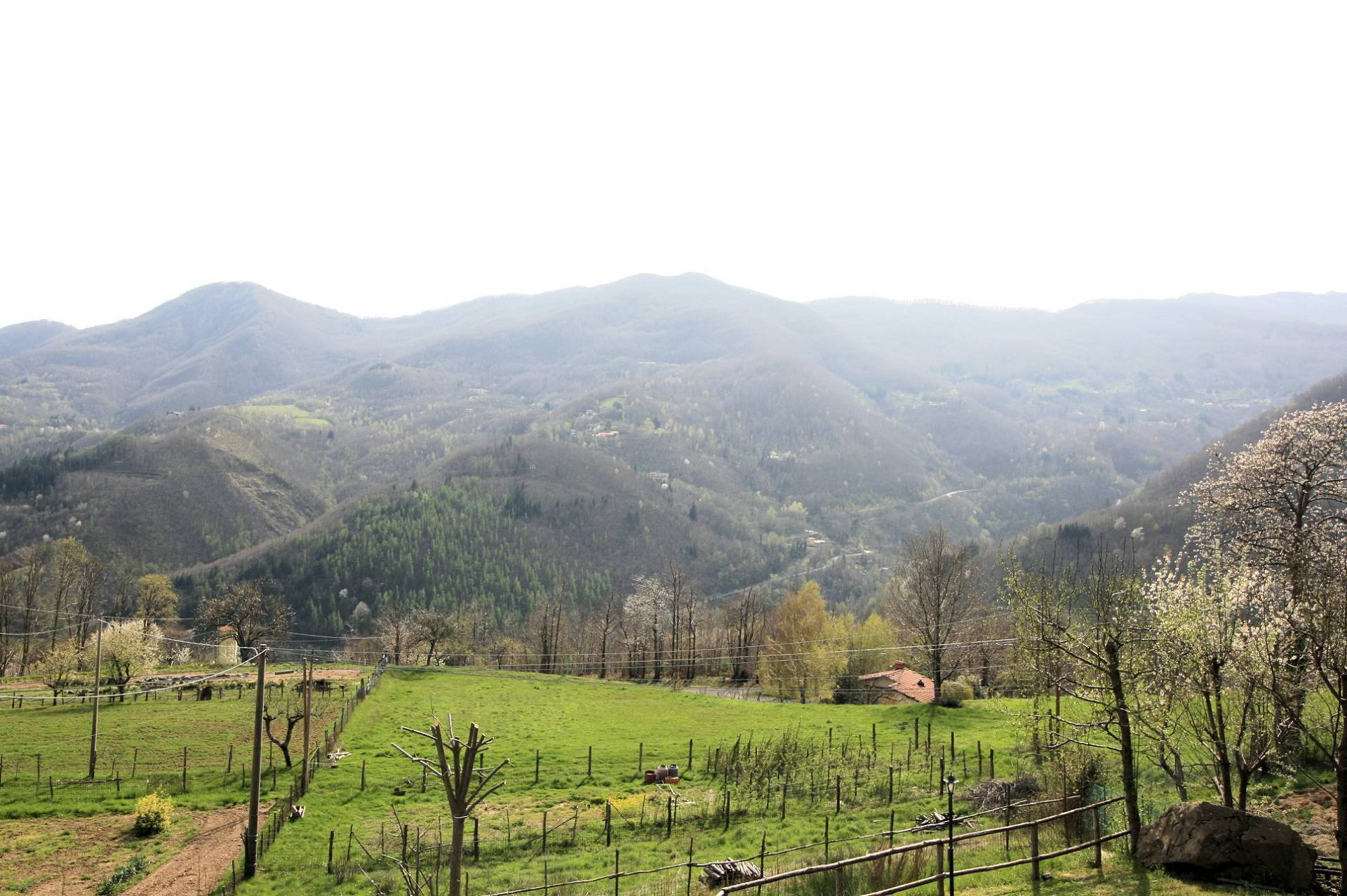 Villa unifamiliare con giardino in posizione panoramica in vendita a Abetone Cutigliano