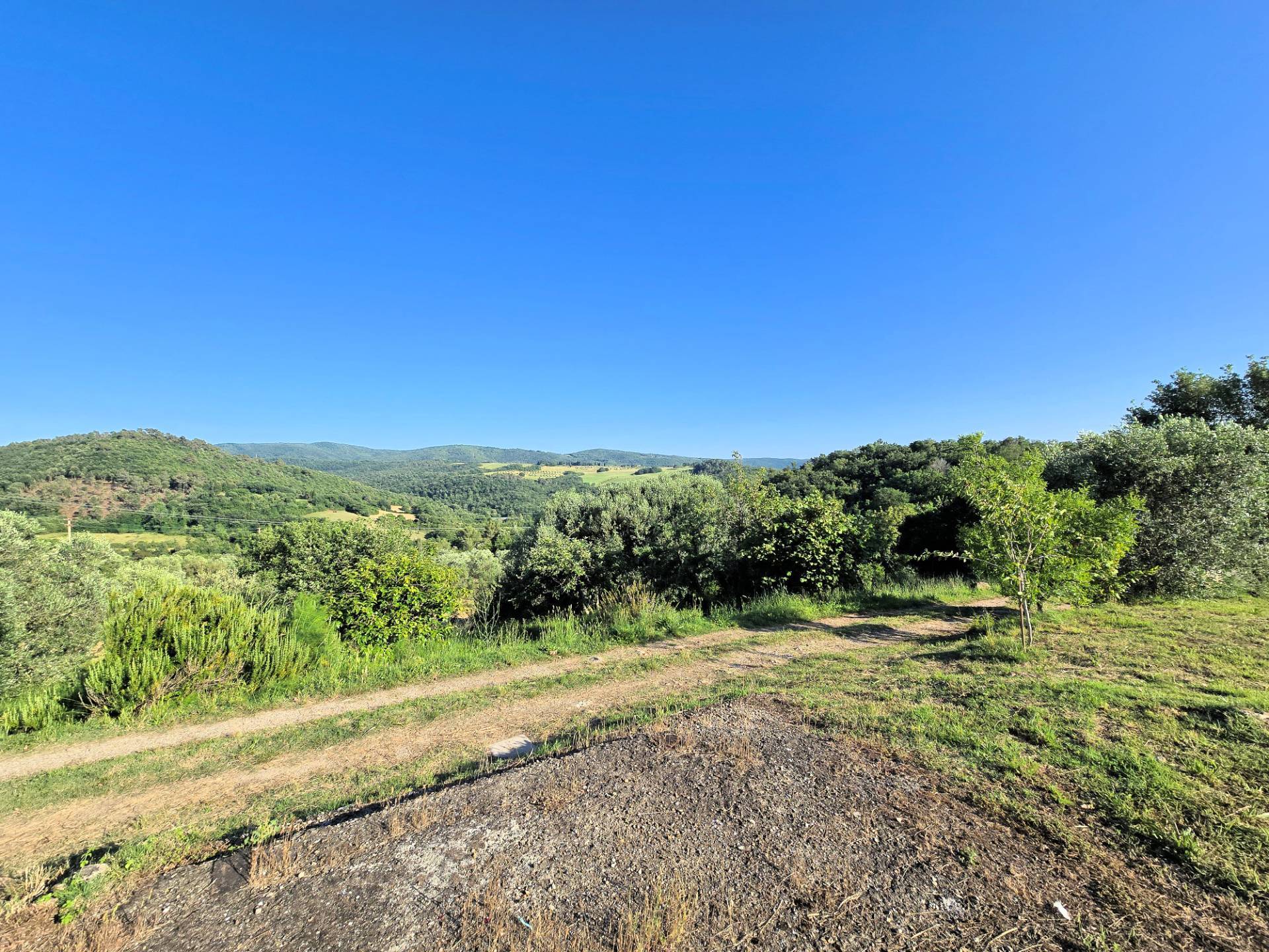 Casale in stile rustico Toscano in posizione panoramica con annesso e 54 ettari di terreno in vendit