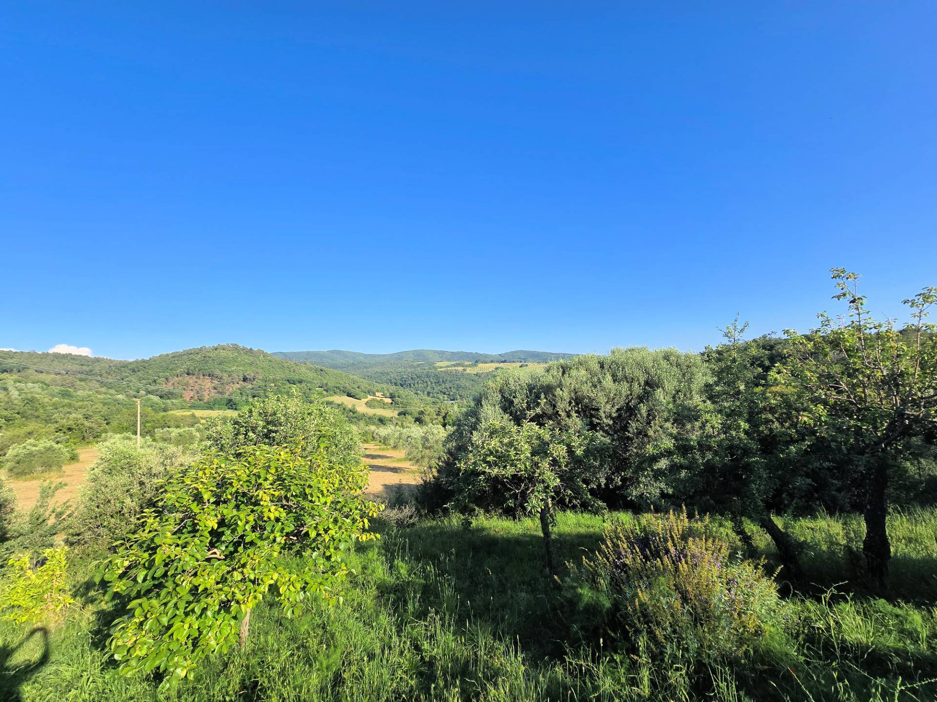 Casale in stile rustico Toscano in posizione panoramica con annesso e 54 ettari di terreno in vendit