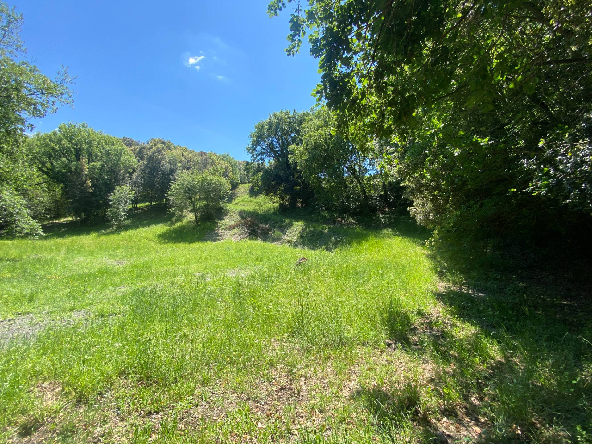 Casa colonica di ampia superficie in posizione dominante con vista panoramica in vendita a Pomarance