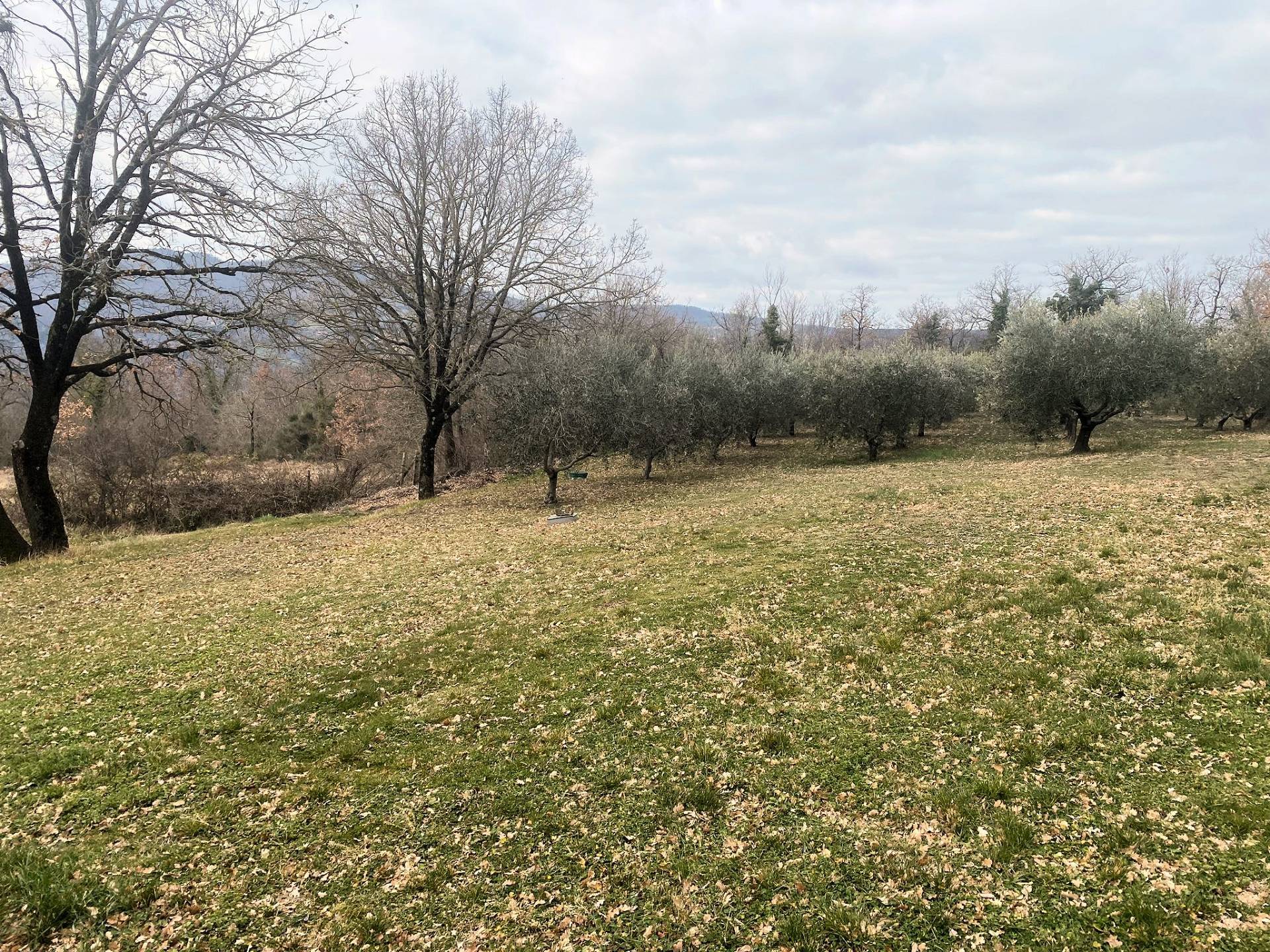 Casa colonica di ampia superficie in posizione panoramica in vendita a Castelnuovo di Val di Cecina
