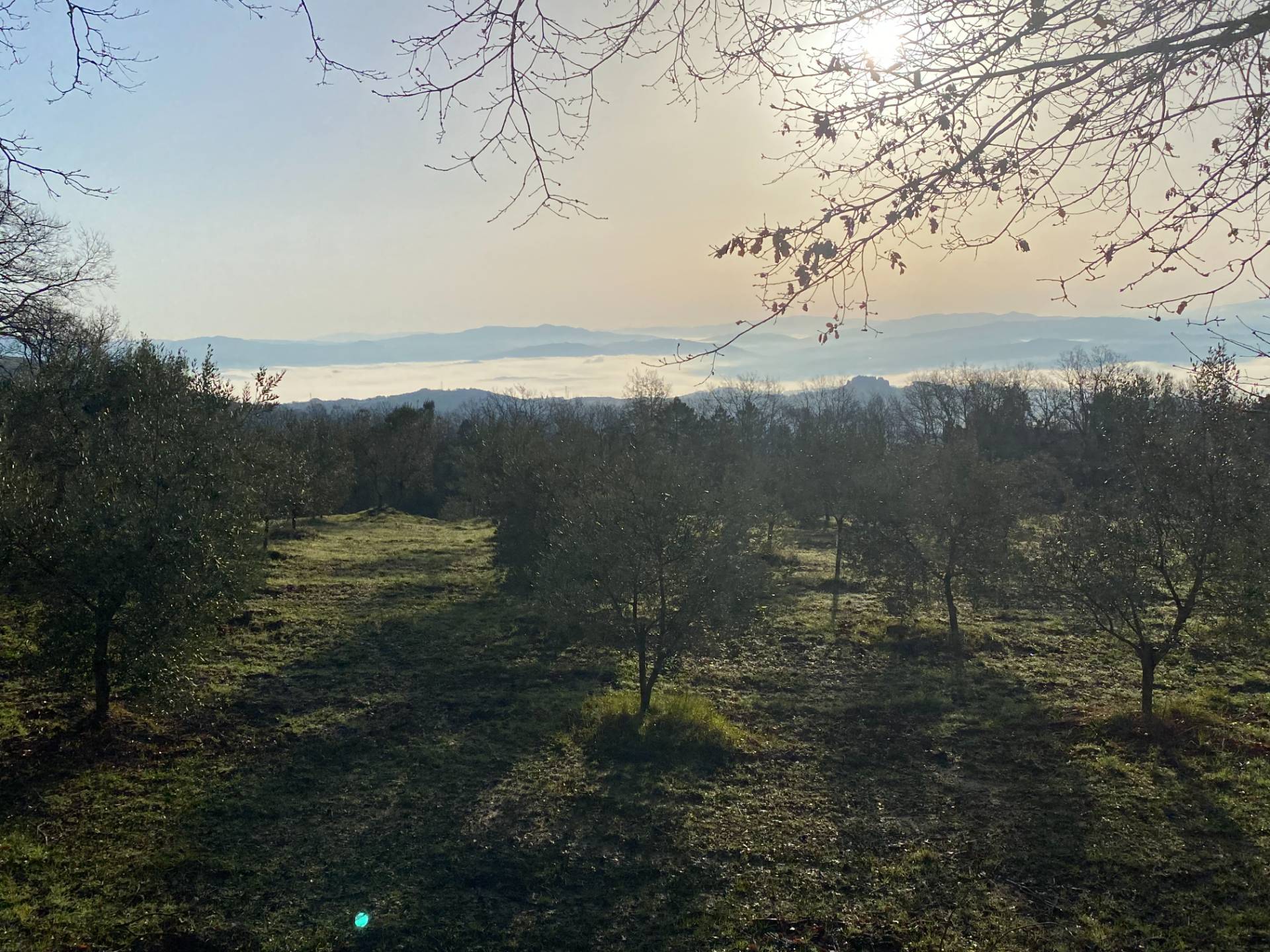 Porzione di casale in stile rustico Toscano ristrutturato con terreno in ottima posizione in vendita