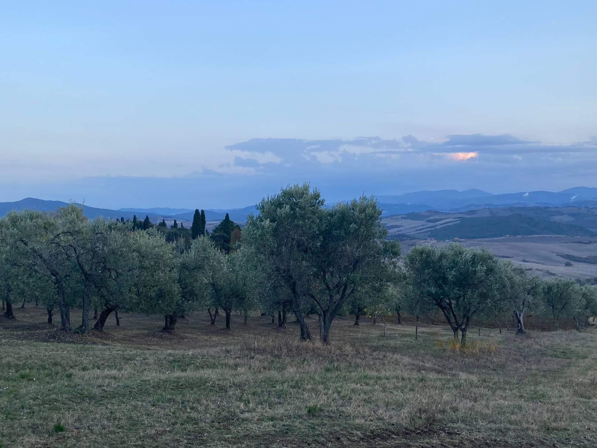 Porzione di casale in stile rustico Toscano ristrutturato con terreno in ottima posizione in vendita